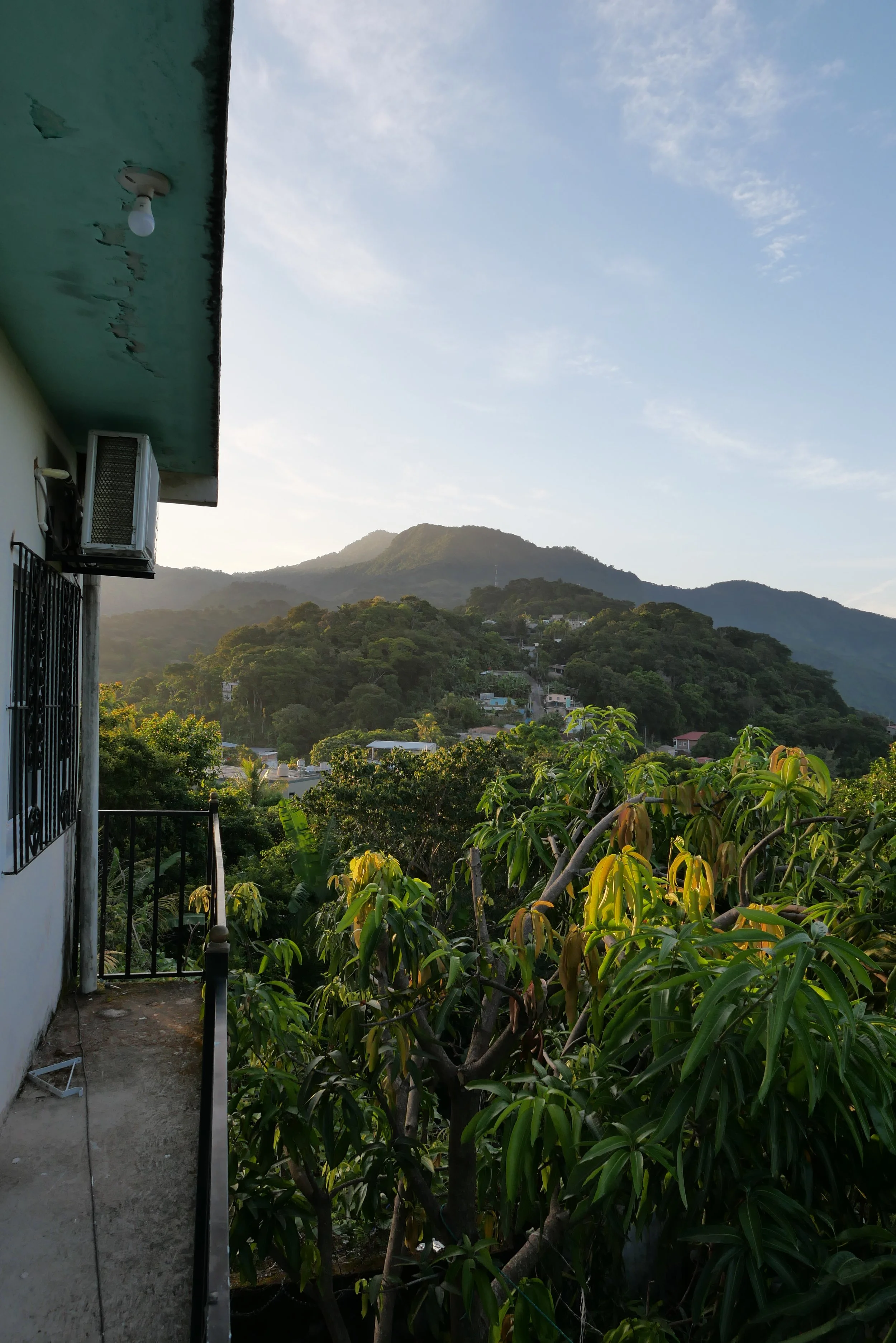 IMG_6786.JPG