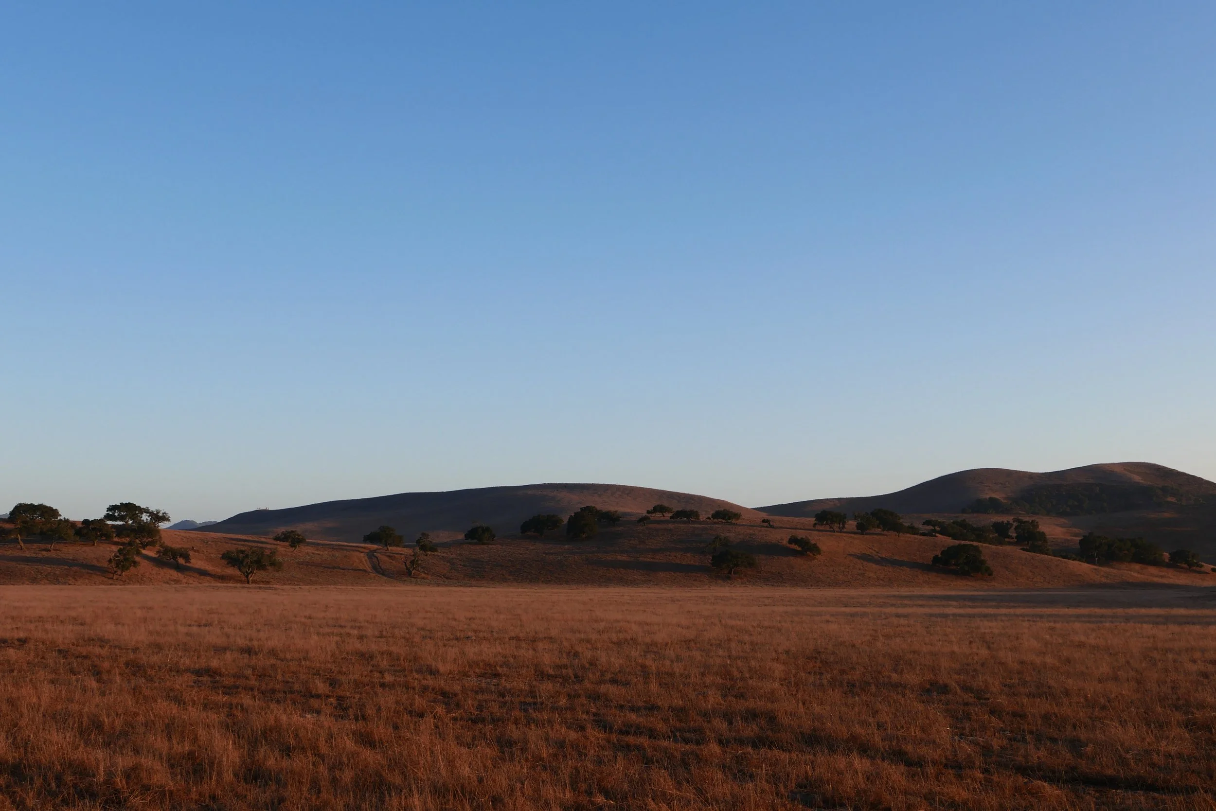 L1010178.JPG
