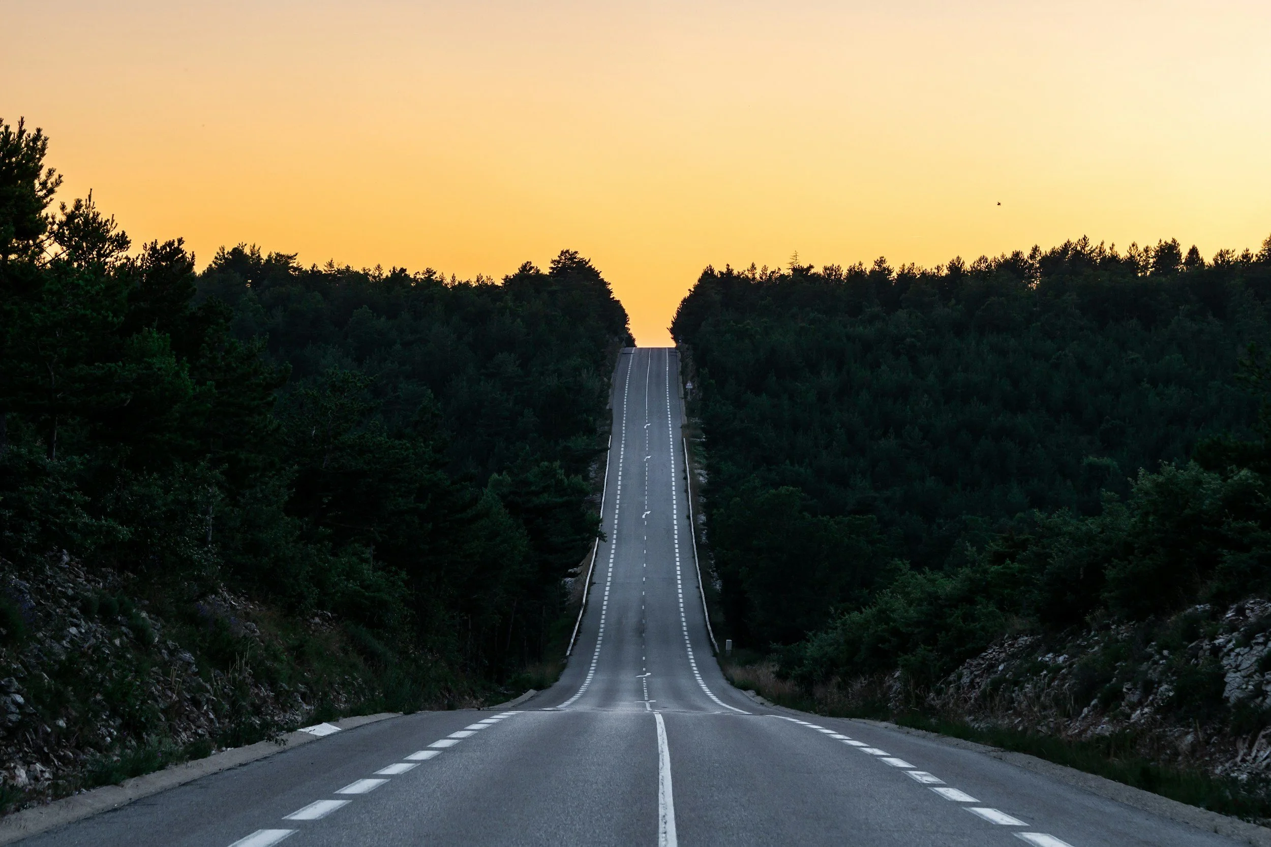 A long, straight road surrounded by dense green trees on either side, extending into the horizon under a pale yellow sky.