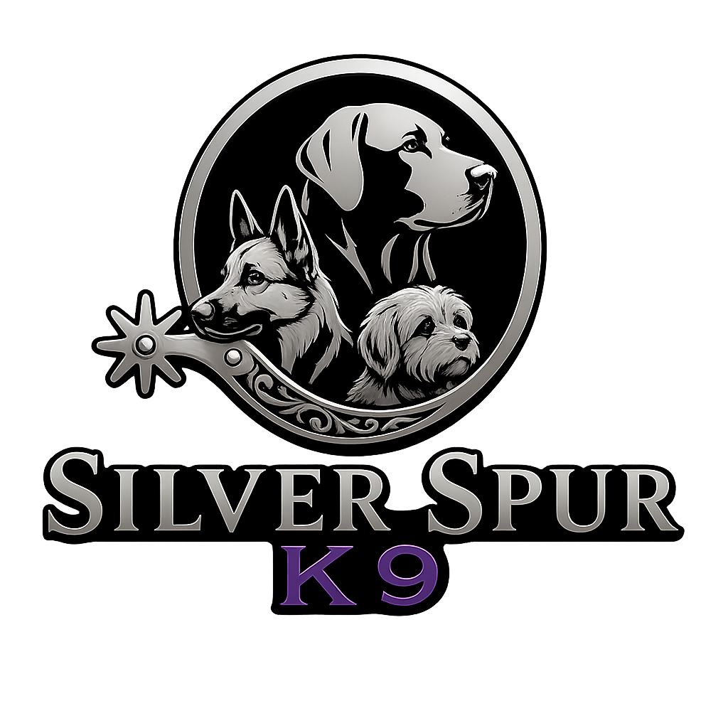 Dallas Dog Training | Silver Spur K9 Academy