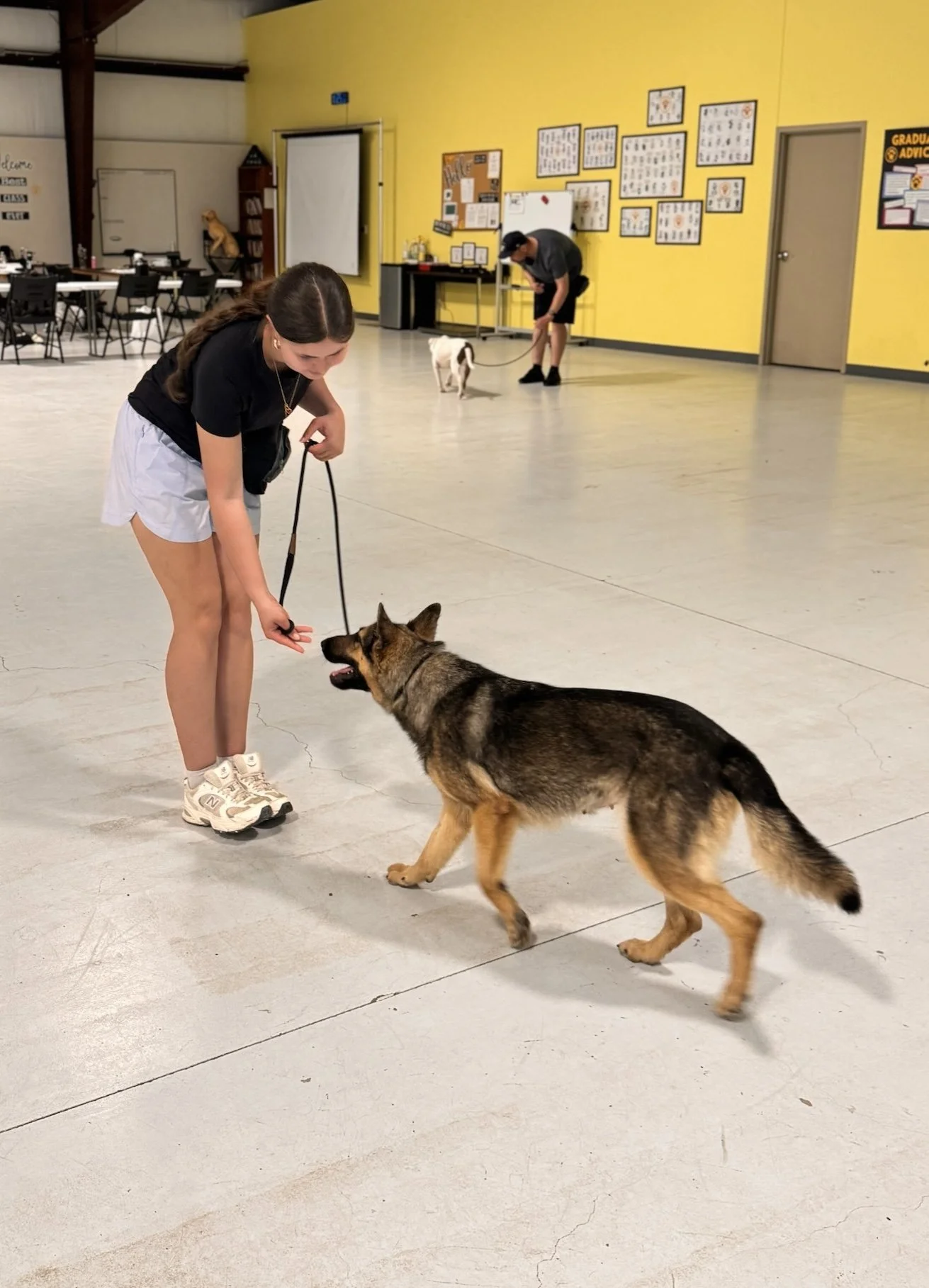 A girl and a boy in a room with yellow walls are training dogs; the girl is in the foreground with a German Shepherd on a leash, while the boy in the background is with a smaller dog.
