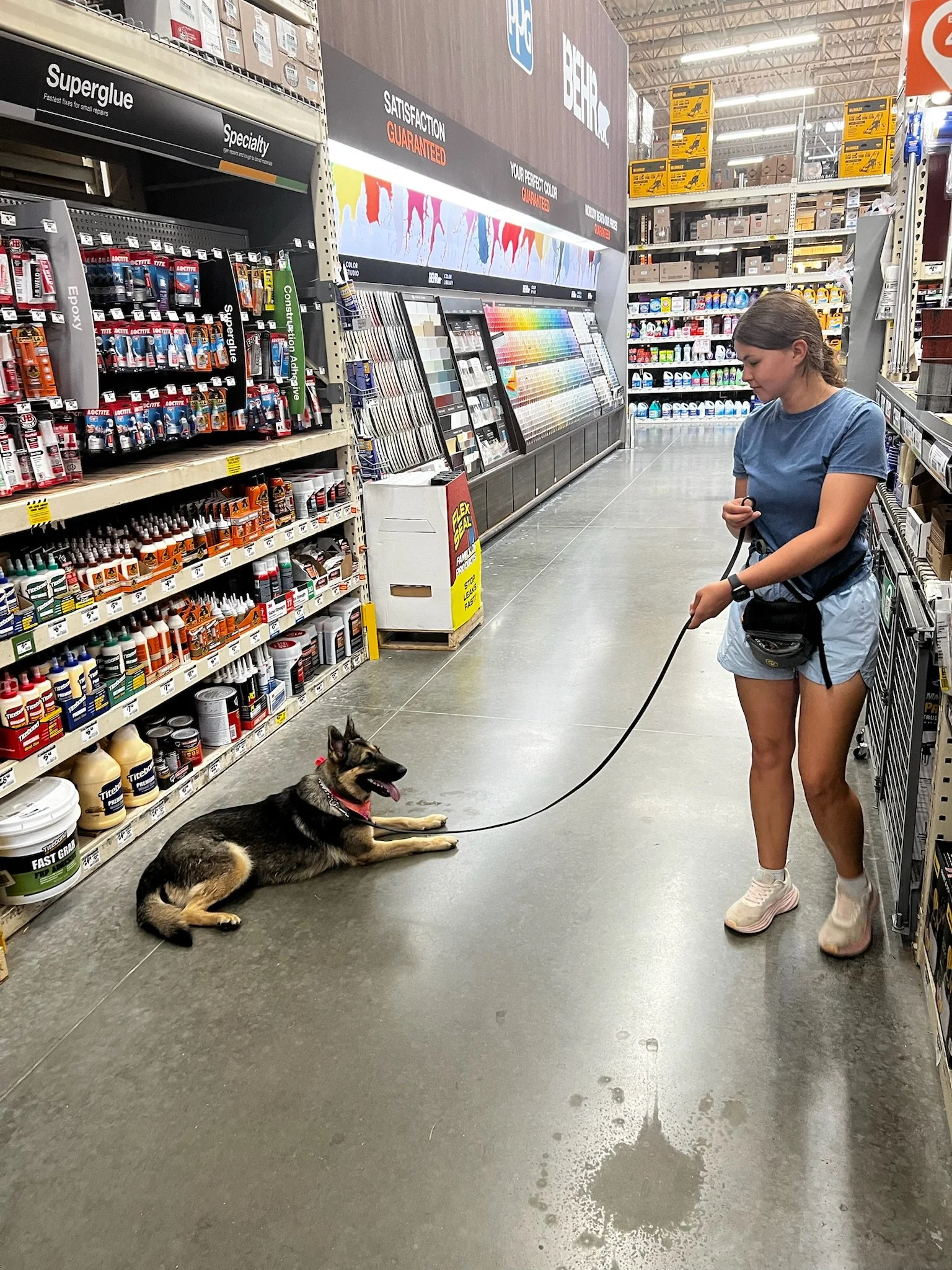 A young woman with gray hair and casual clothing is inspecting a dog lying on the floor in a store aisle. The dog, a Siberian Husky, is looking up with its tongue out. The store has shelves stocked with paint, tools, and other home improvement supplies.