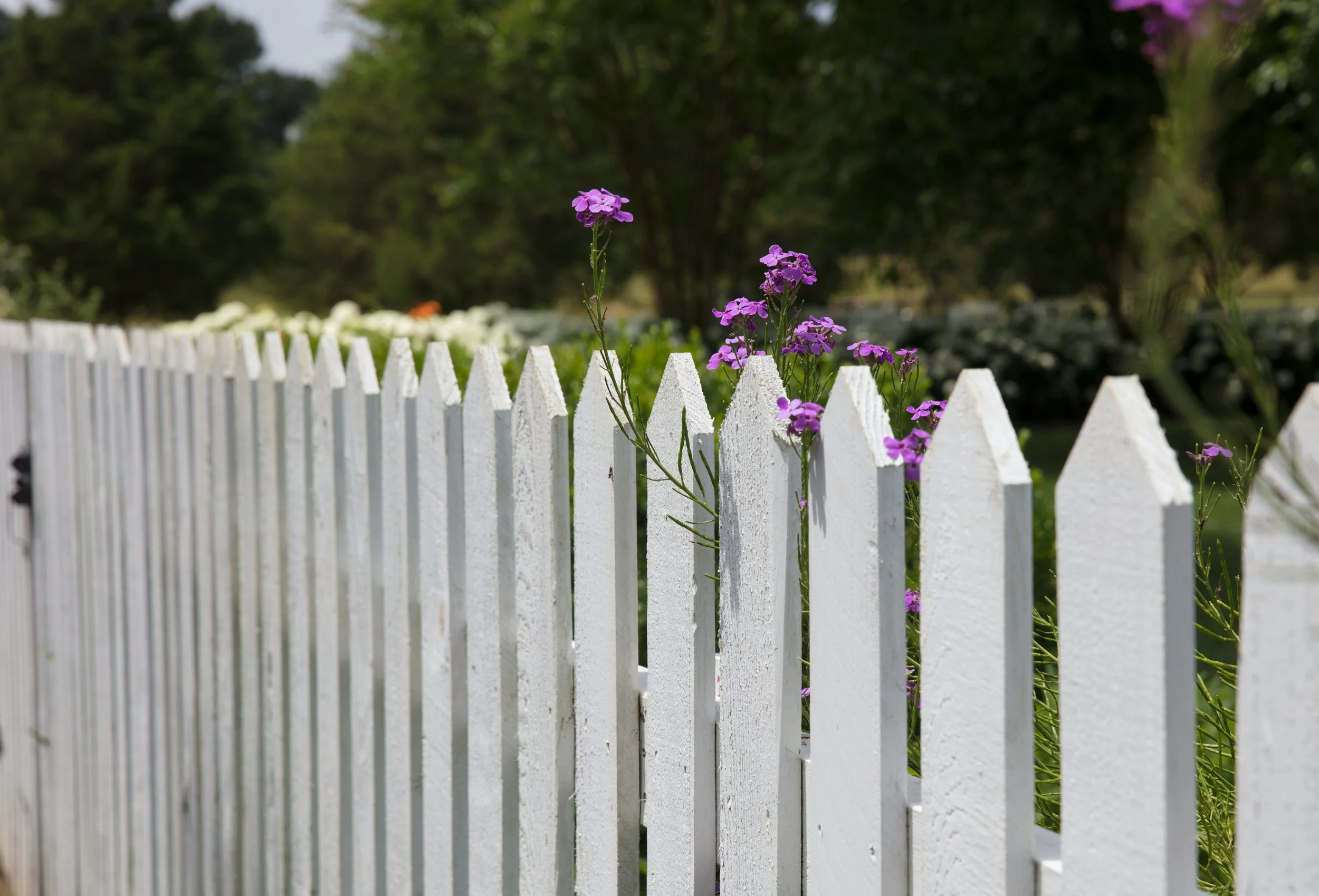 Neighboring Isn’t Always Easy…