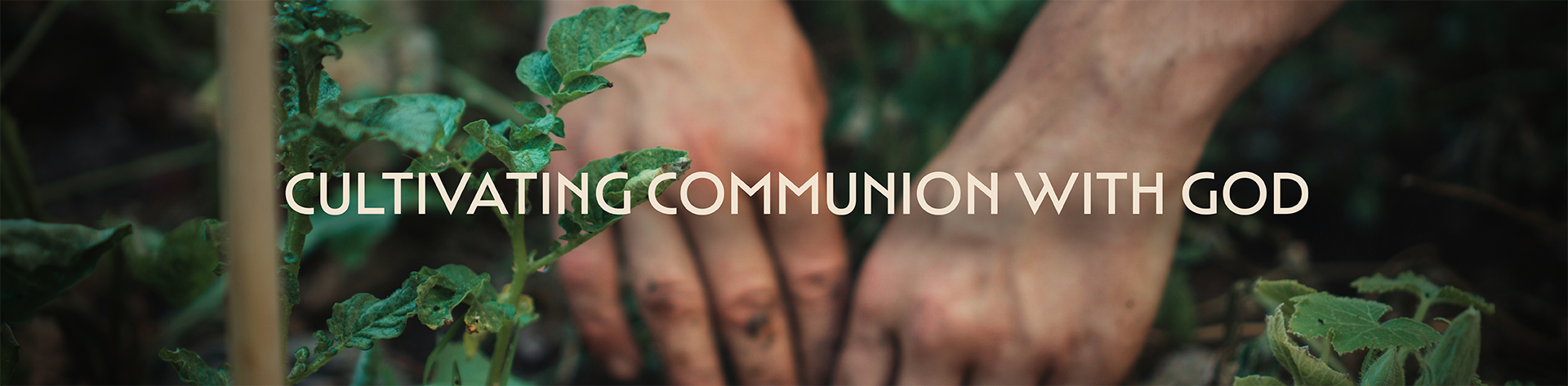 Cultivating Communion