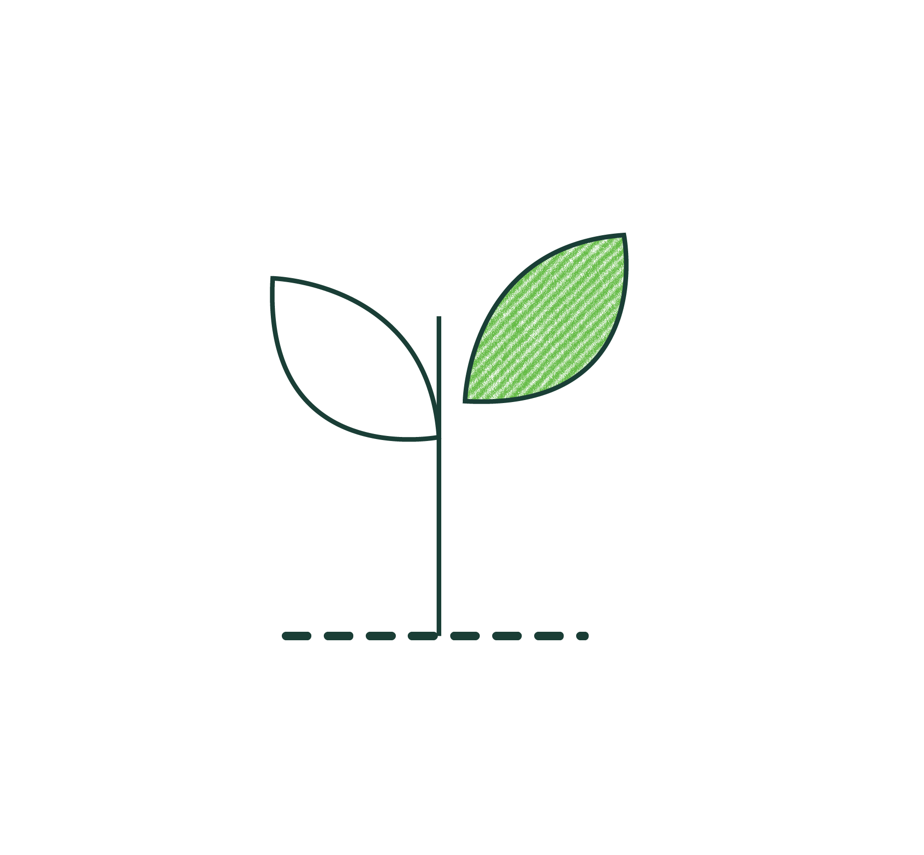 Line drawing of a small plant with two leaves, one green and one white, growing from a dotted base.