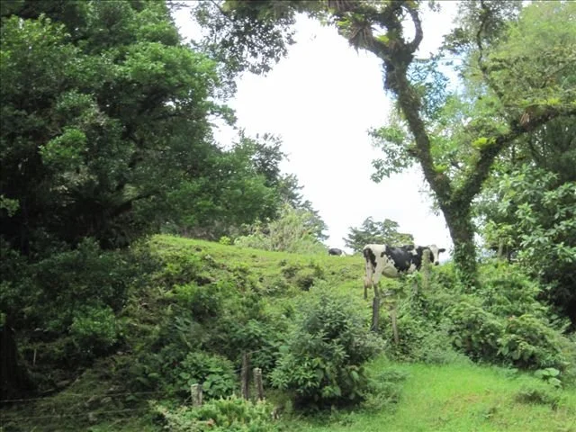 Panama