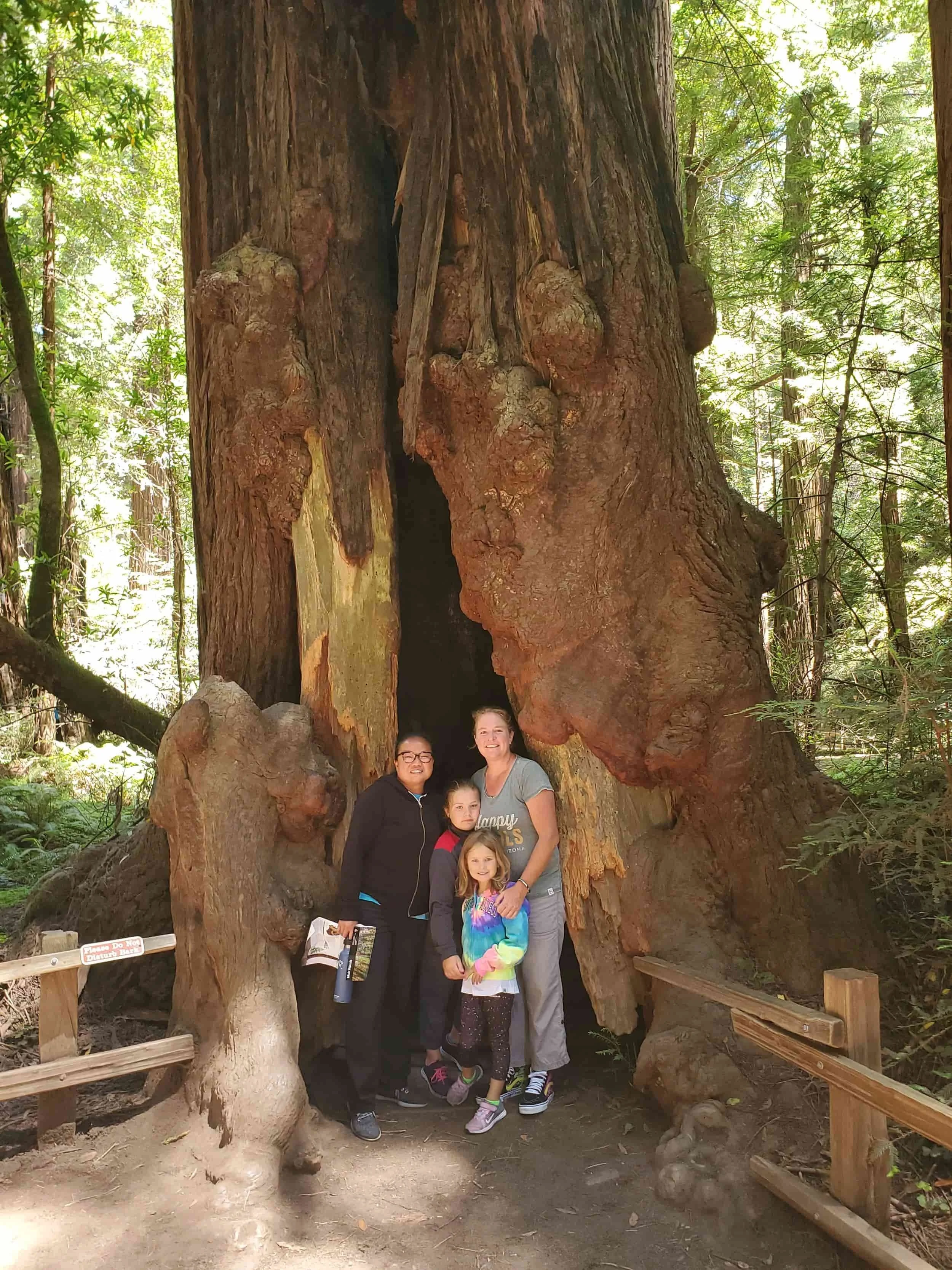 Three people stand at the base of a giant redwood tree with a hollow trunk in a forest, smiling for the camera.