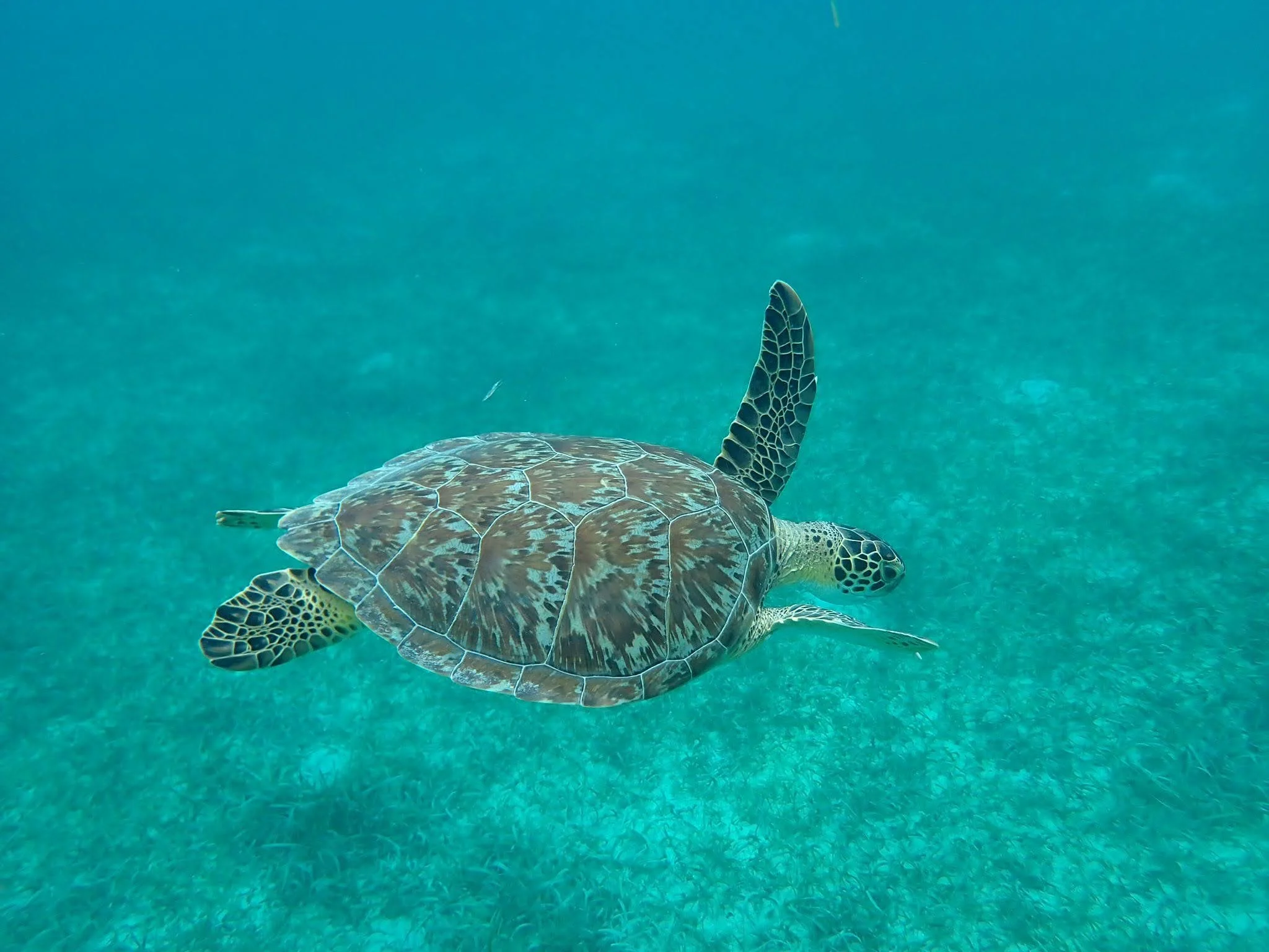 Culebra, Puerto Rico