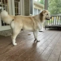 Zeus.jpg