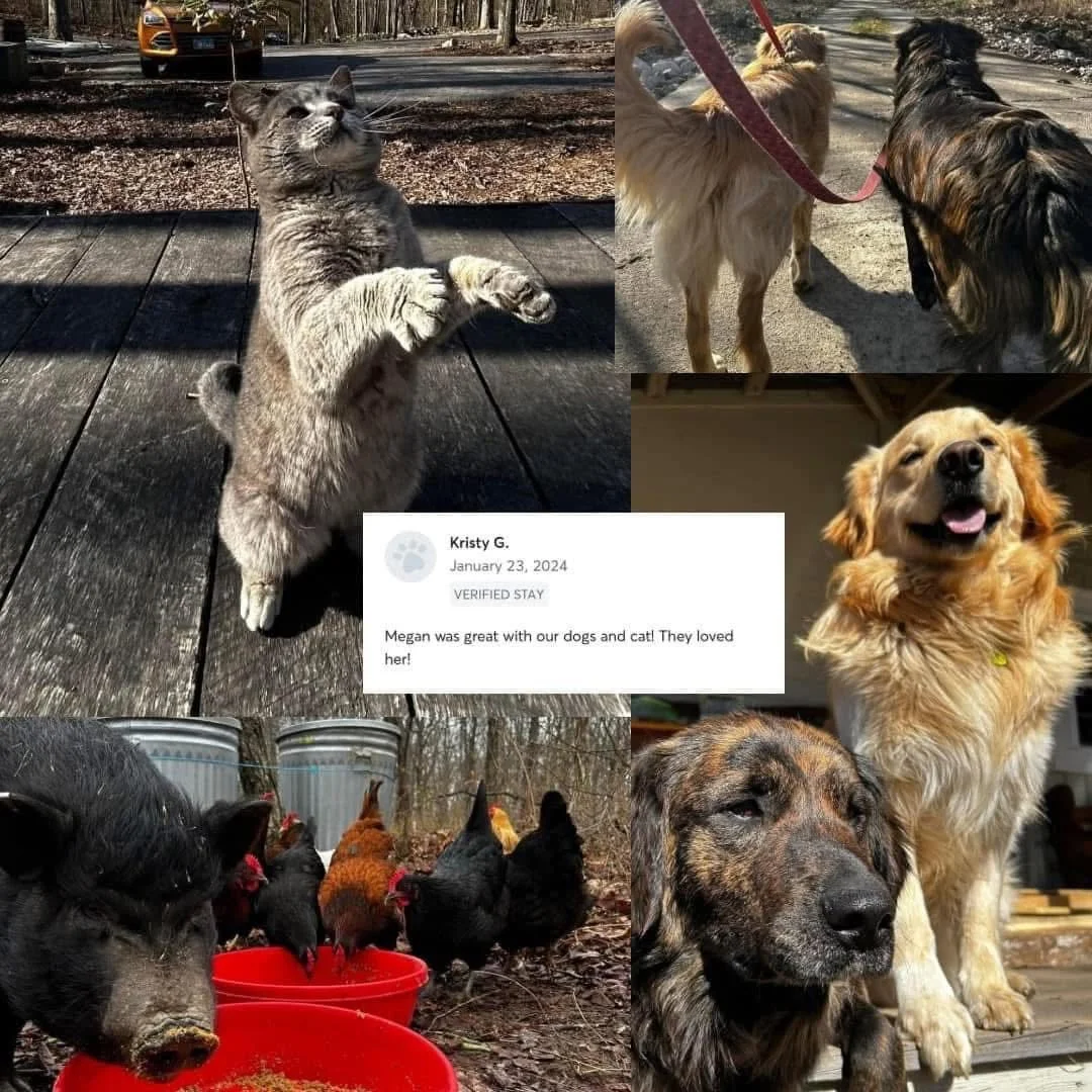 Kristyrover.jpg