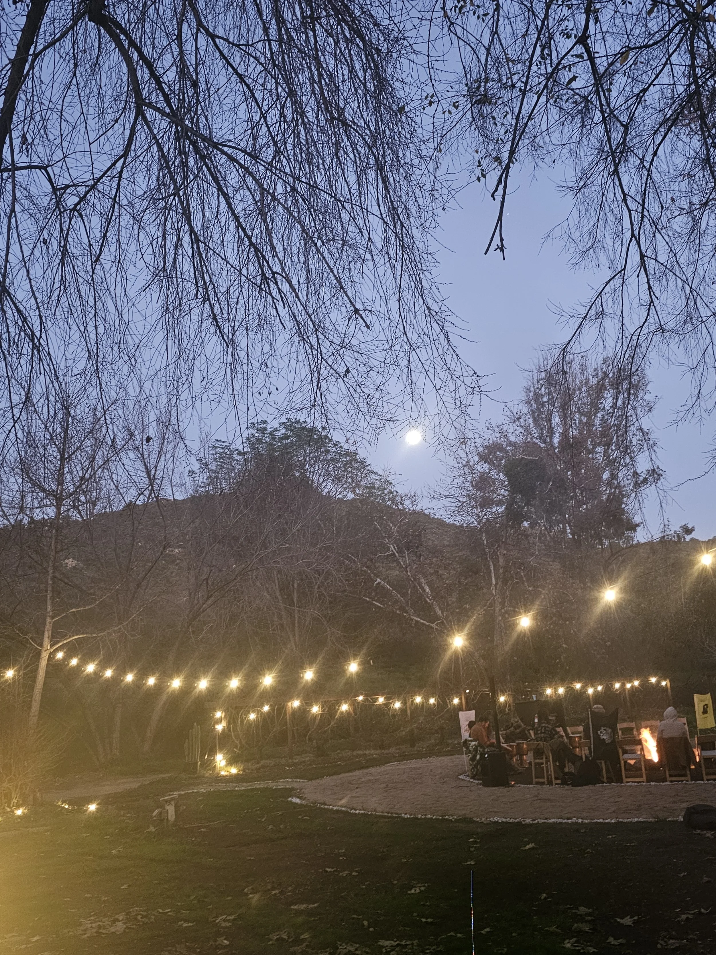 Nighttime outdoor scene with leafless trees, string lights, a hill, and a bonfire with people gathered around.