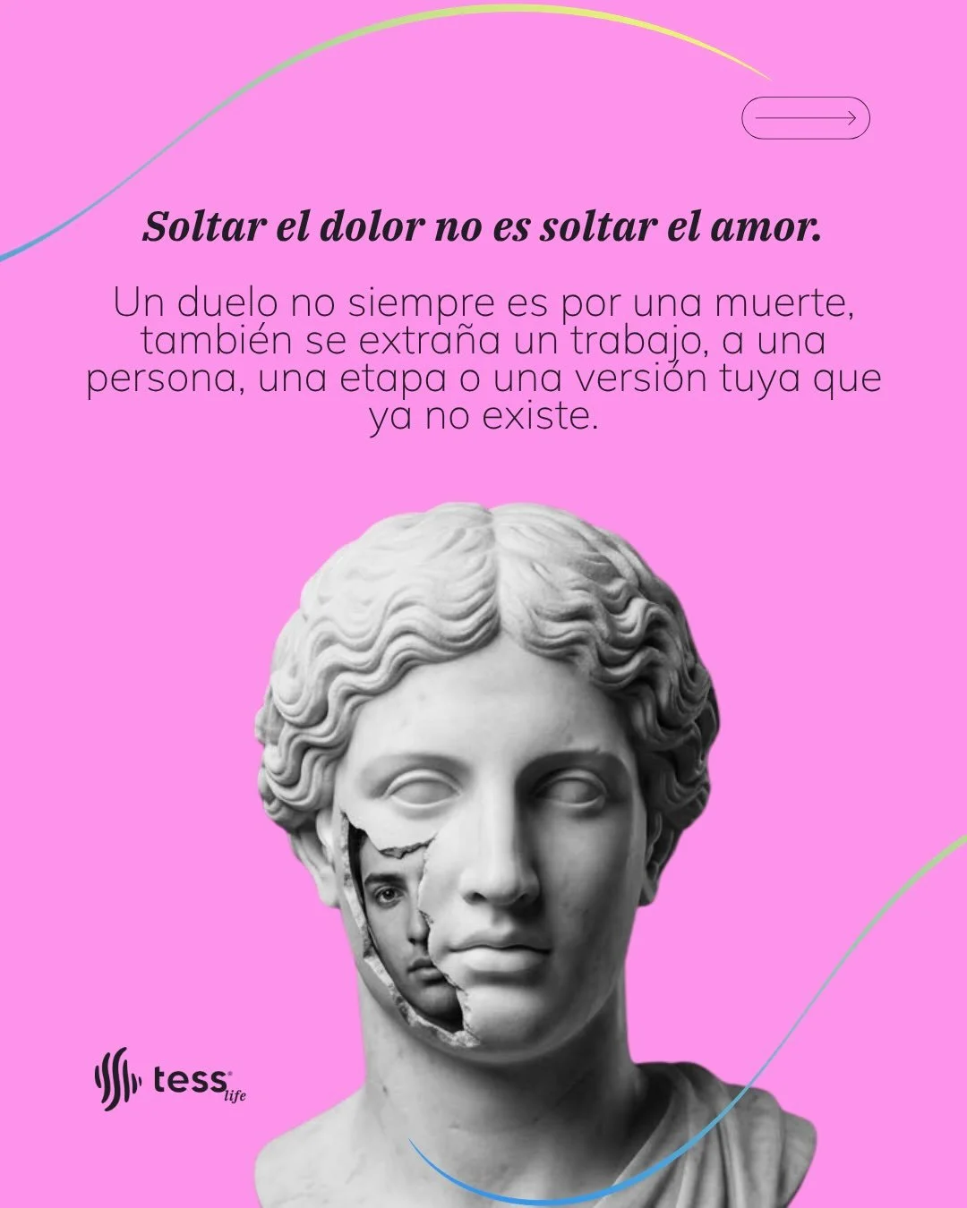 Hay duelos que nadie reconoce como duelos, perder un trabajo, una etapa, una versi&oacute;n tuya que ya no existe, y aun as&iacute; duelen y cargan con la misma culpa que carga una muerte.

Este carrusel habla de esa culpa, de las fantas&iacute;as de