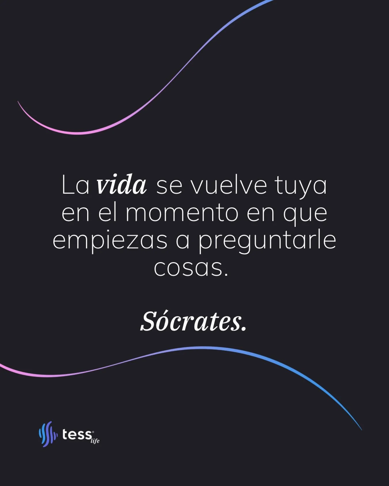 Hay gente que atraviesa una vida entera sin preguntarse qu&eacute; hace en ella.

Nace, estudia, trabaja, se casa, se cansa, se jubila, se muere. La secuencia sin levantar la mano y decir: un momento, &iquest;esto qu&eacute; es?

No es falta de intel