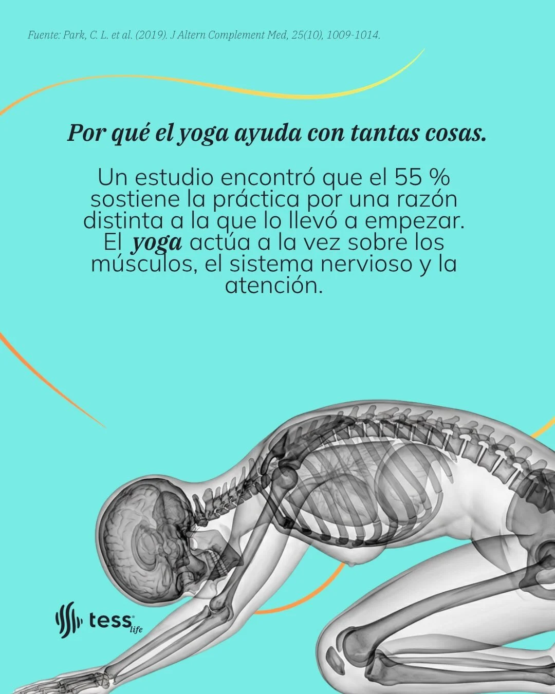 El yoga aparece en estudios de depresi&oacute;n, presi&oacute;n arterial, sue&ntilde;o, glucosa, estr&eacute;s, c&aacute;ncer&hellip;

La explicaci&oacute;n no est&aacute; en las posturas.

La palabra viene del s&aacute;nscrito yuj, uni&oacute;n: la 