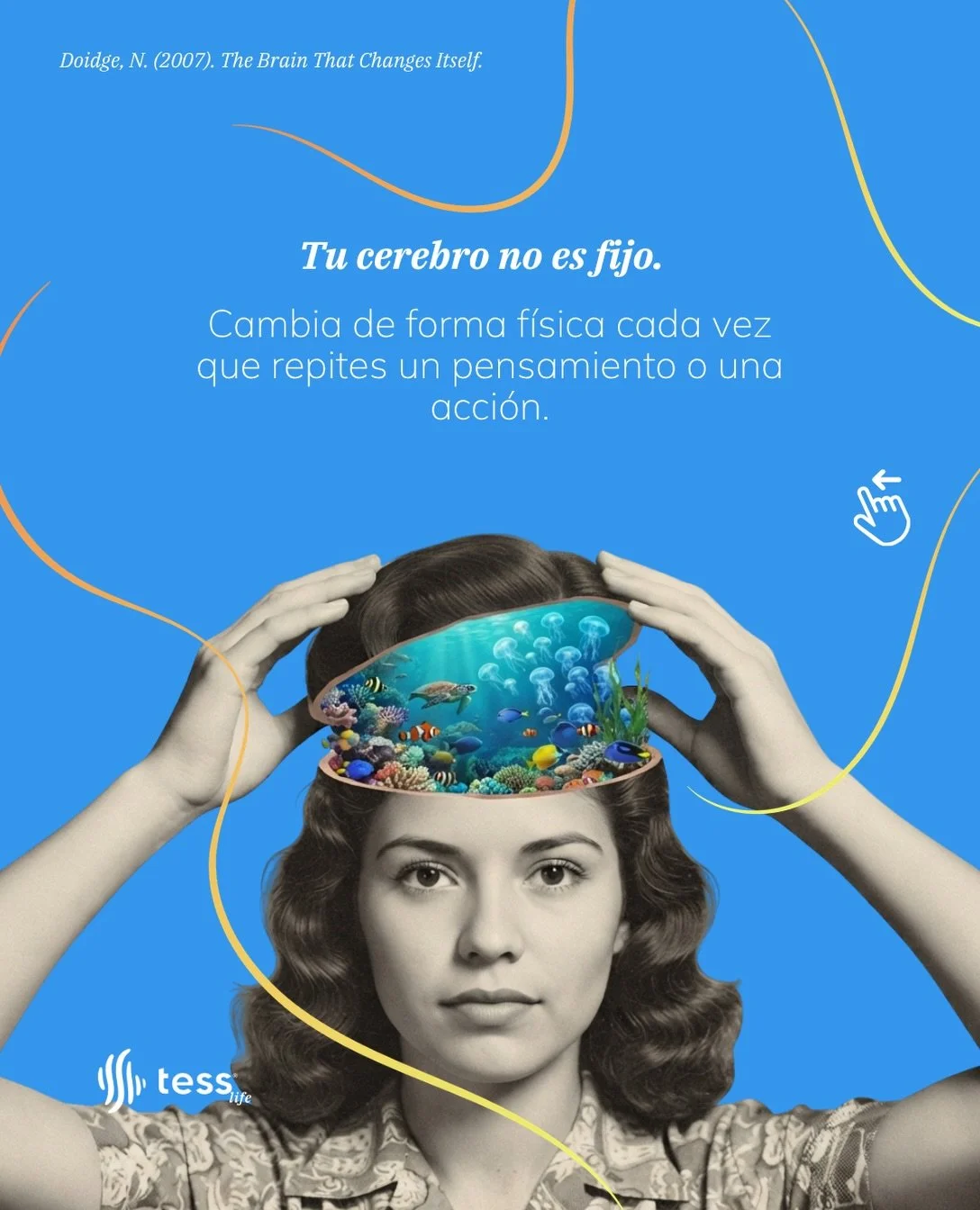 Tu cerebro se reorganiza todos los d&iacute;as, con cada pensamiento que repites y cada h&aacute;bito que sostienes. Lo que hoy sientes como parte de tu personalidad, en alg&uacute;n momento fue apenas un camino que tu cerebro decidi&oacute; construi
