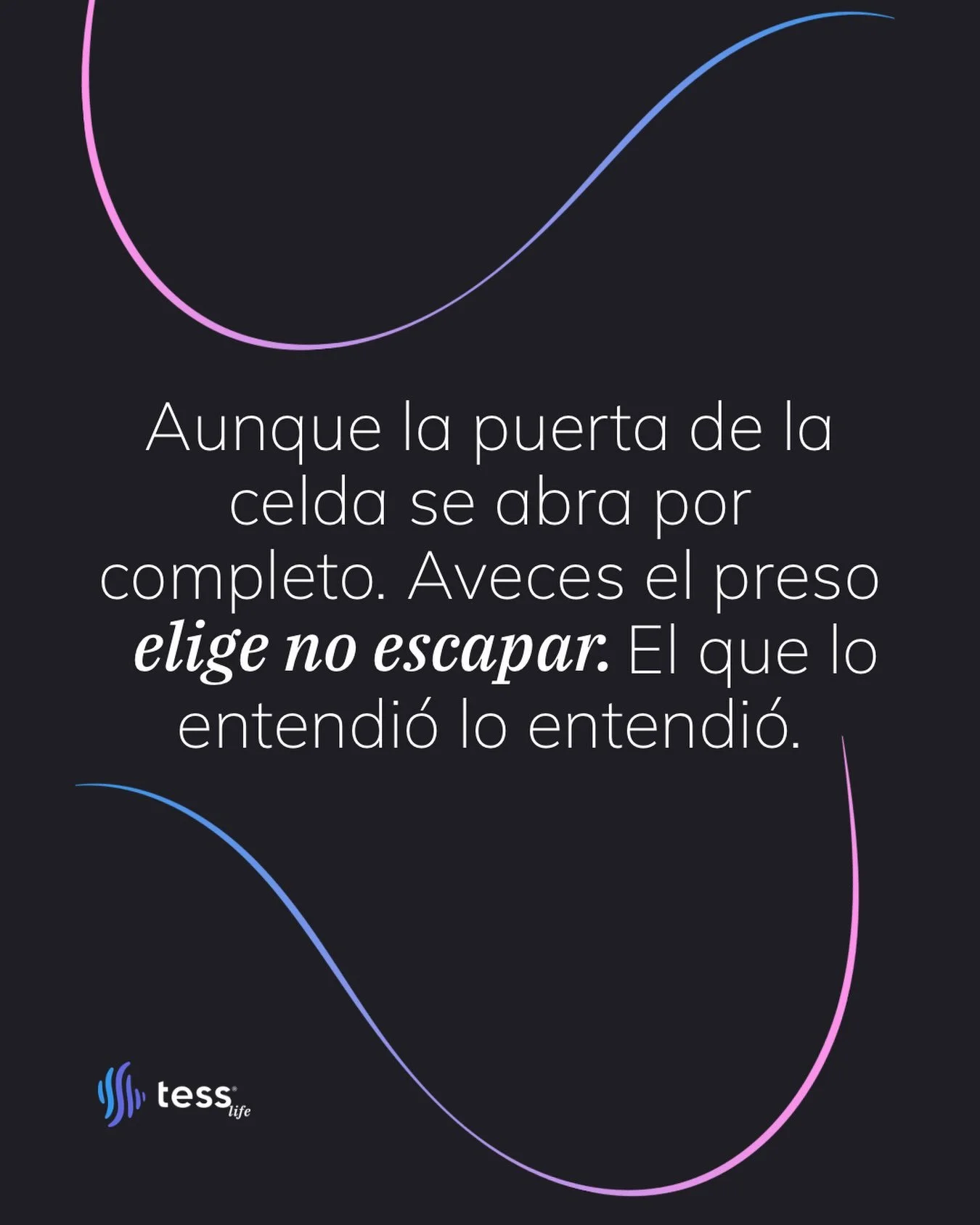 Hay libertades que no dependen de una puerta abierta.

Cargamos rejas invisibles o jaulas de oro&hellip; 

Quedarse tambi&eacute;n es una decisi&oacute;n.

#Tess #Proposito #JaulaDeOro