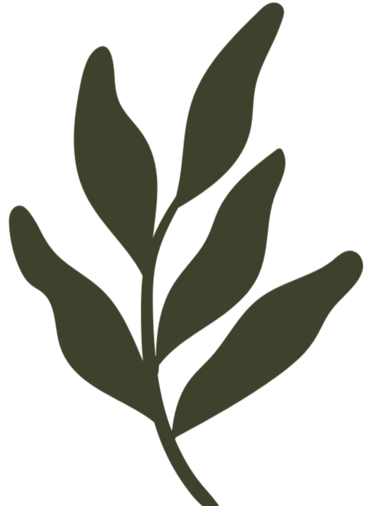 A dark green silhouette of a leafy branch with several elongated leaves.