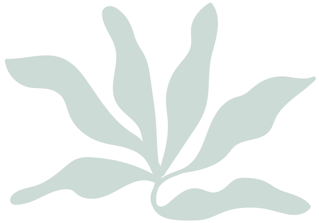 A light-colored, stylized illustration of elongated, wavy leaves spread out from a central stem.