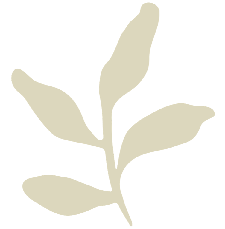 Minimalist illustration of a beige leafy branch on a black background.