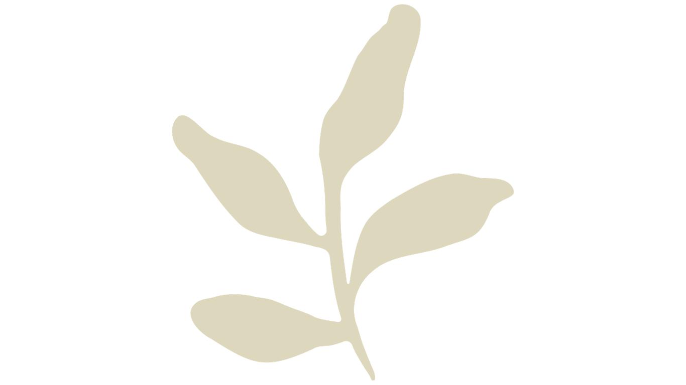 A minimalist illustration of a beige leaf with multiple smaller leaves on a black background.