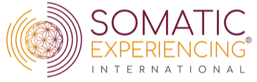 Logo for Somatic Experiencing, featuring circular, wave-like designs in orange and purple and bold text.