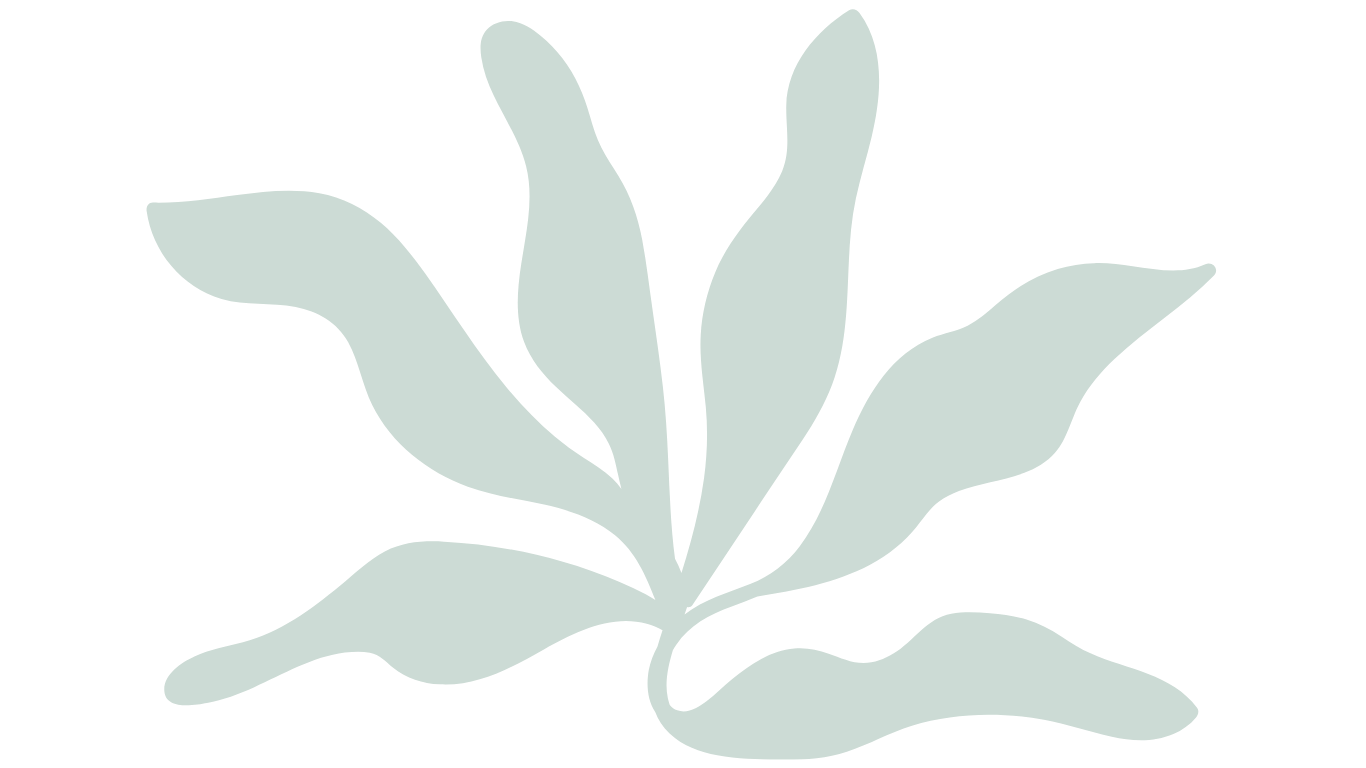 A simple illustration of a green leafy plant with multiple elongated leaves spreading out in different directions.