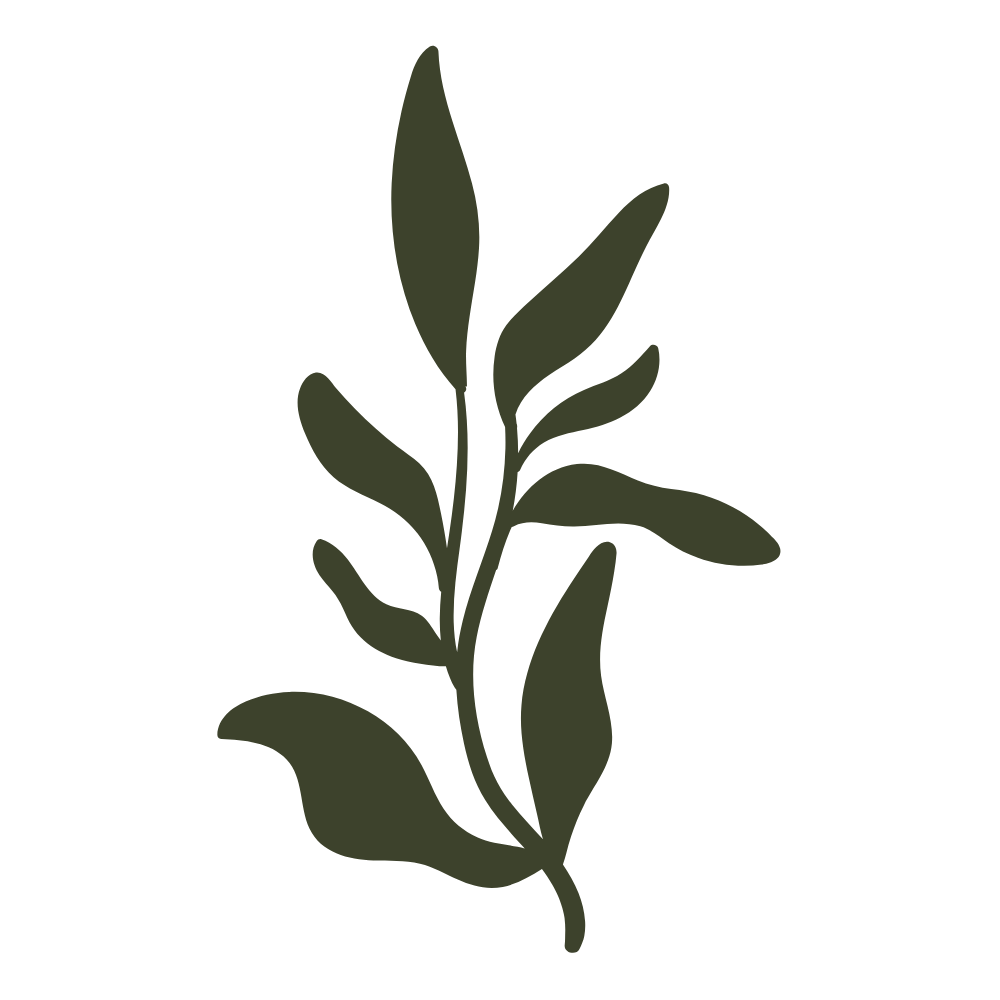 A dark-colored illustration of a leafy botanical branch.