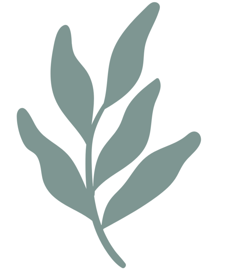 A stylized illustration of a plant with large leaves in a muted green color on a black background.