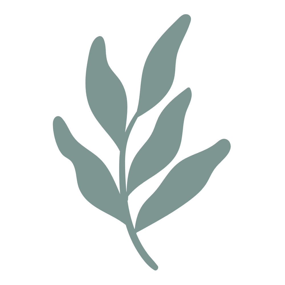 A minimalist illustration of a eucalyptus branch with five elongated leaves on a black background.