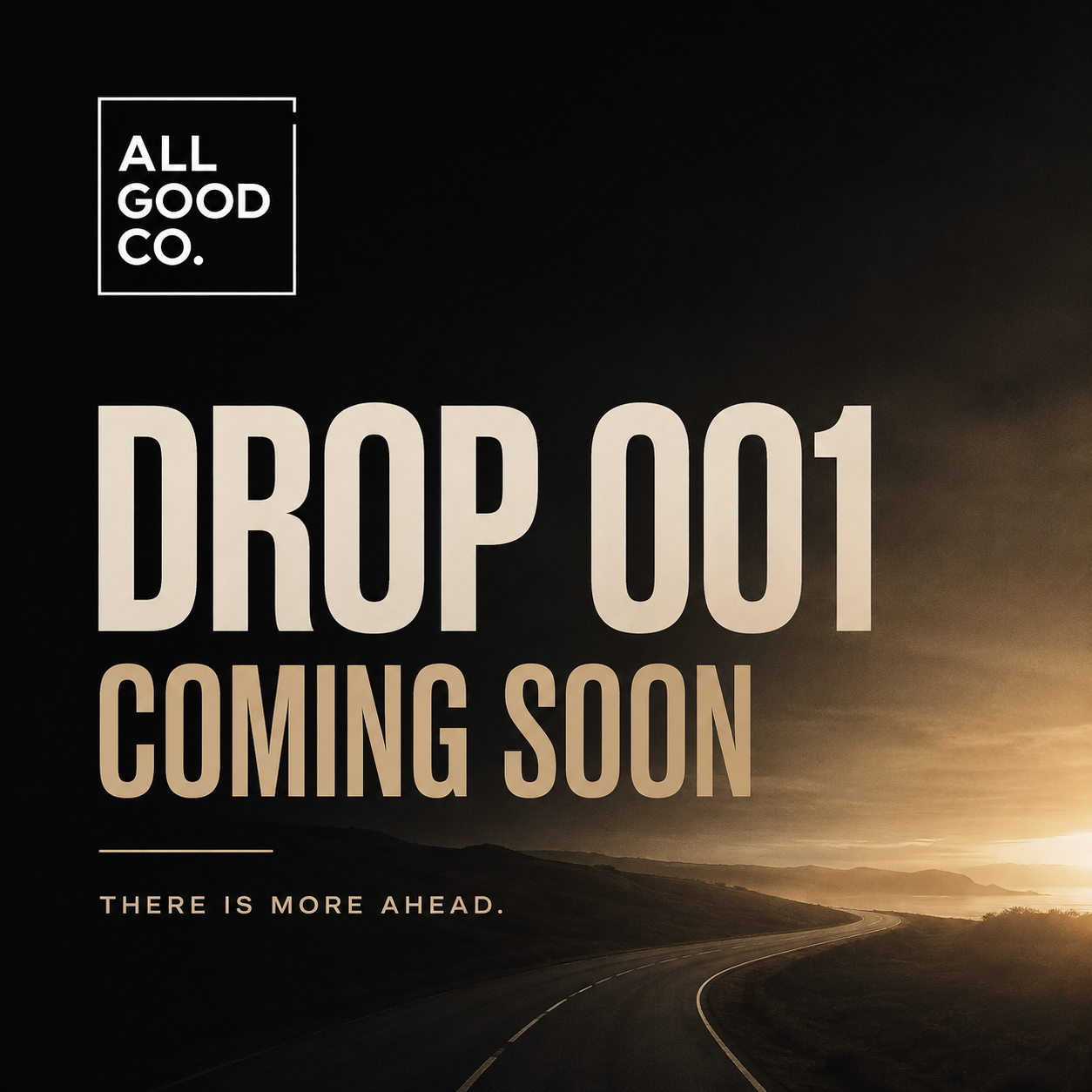 DROP 001 - COMING SOON