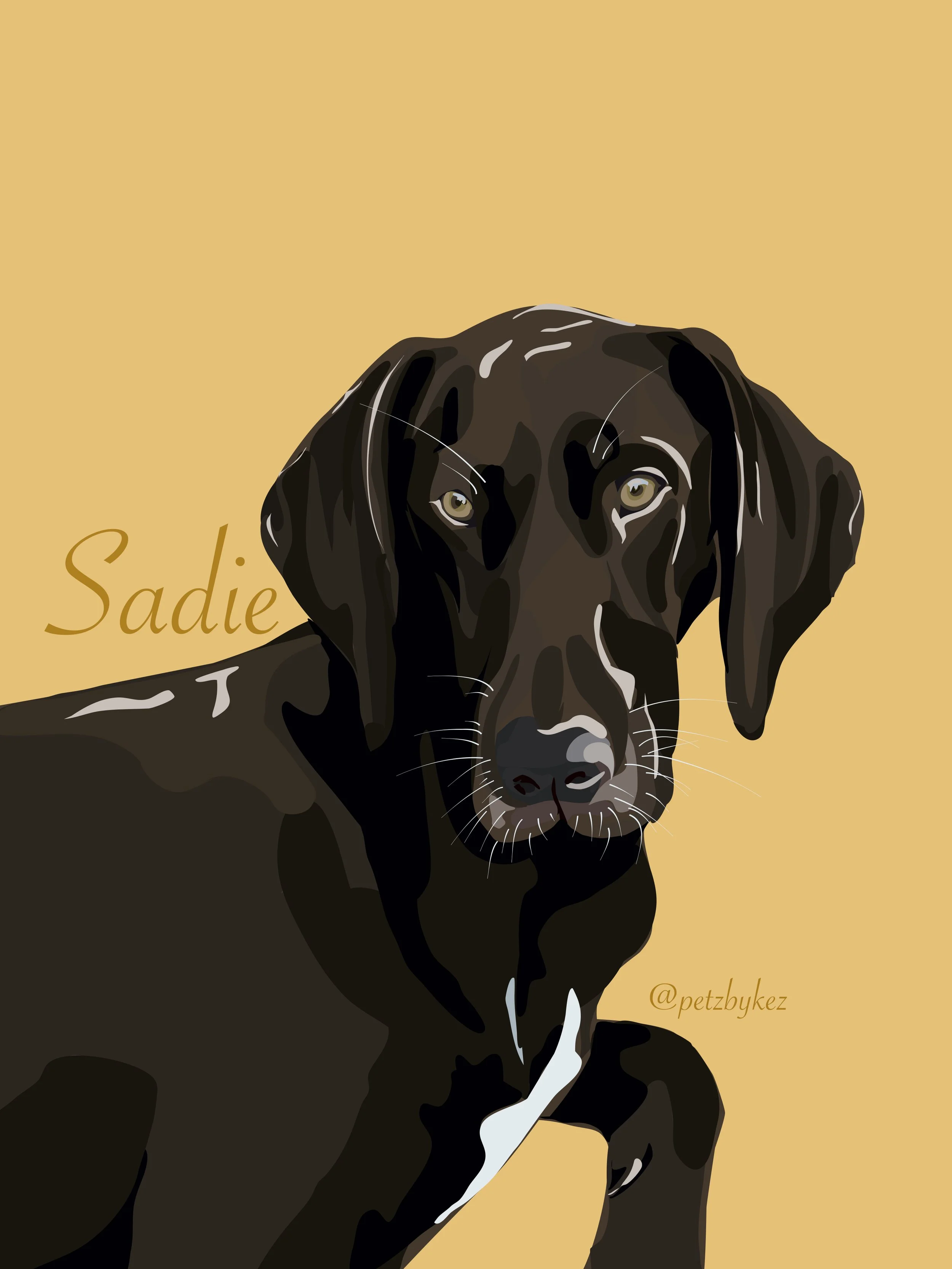 Digital illustration of a black dog with light eyes, looking directly forward, set against a beige background. The name 'Sadie' and the artist's handle '@petzbykez' are written on the image.