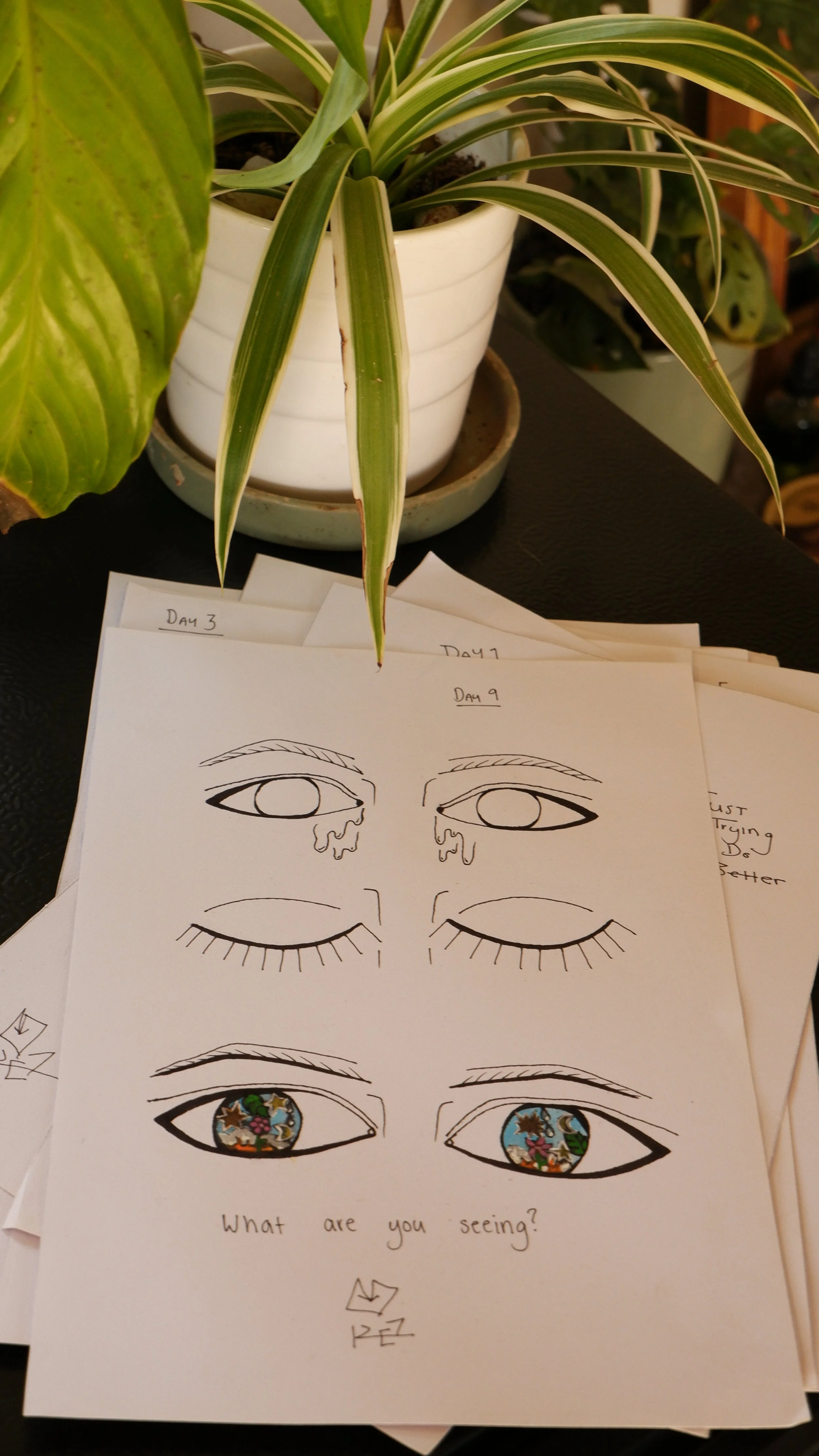 Day 9 - What Are You Seeing?