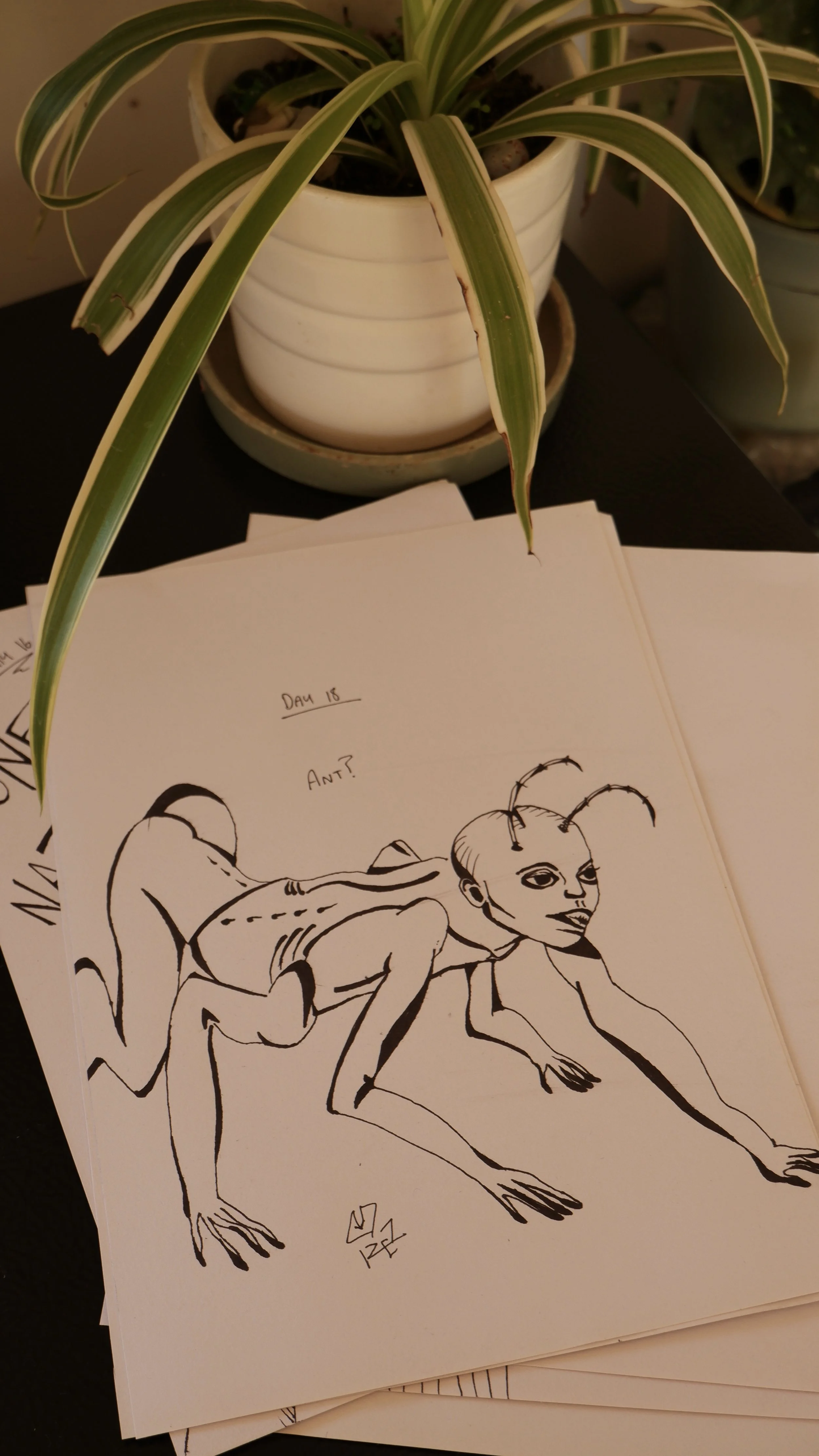 IMG_5850.jpeg