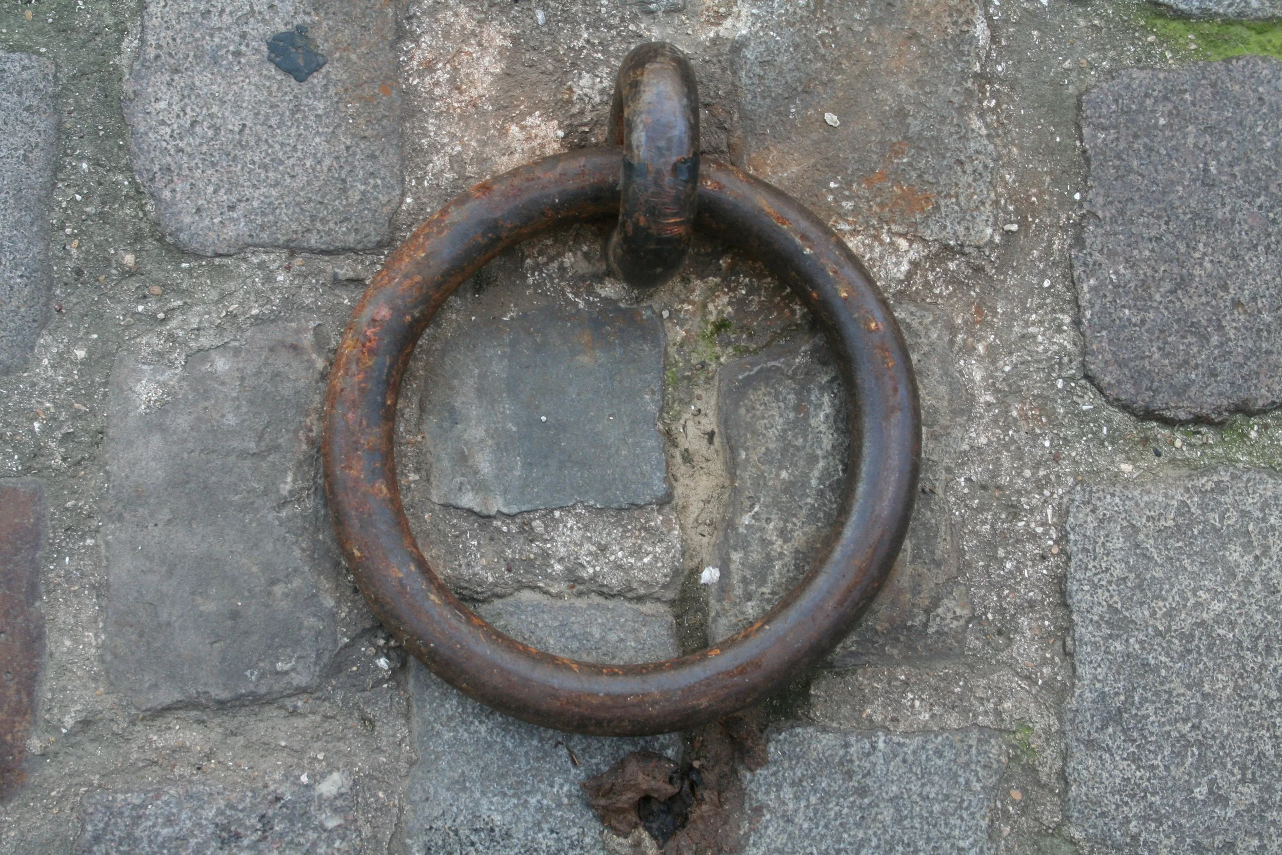 Pavés 1.jpg