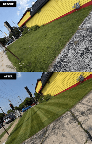 Our work
