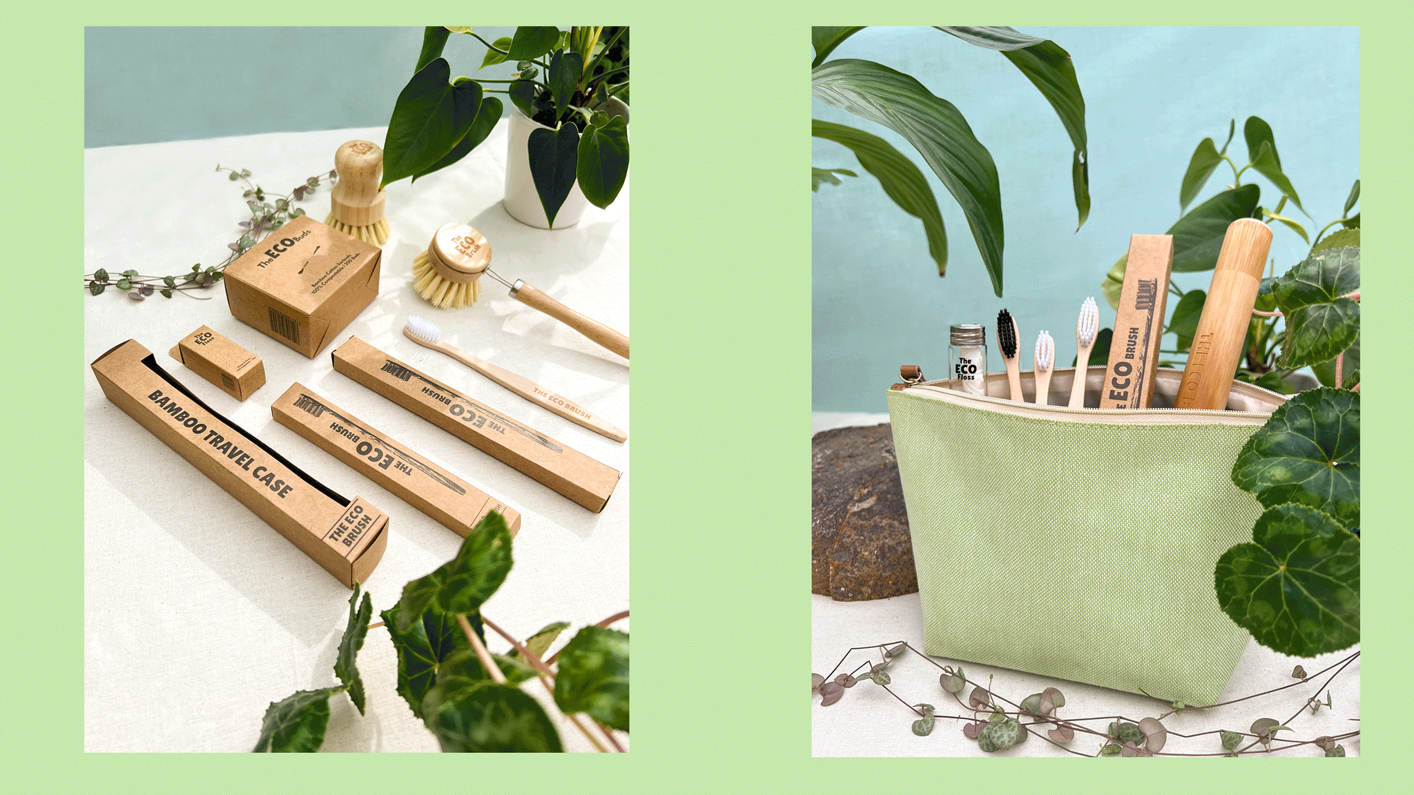 The Eco Brush