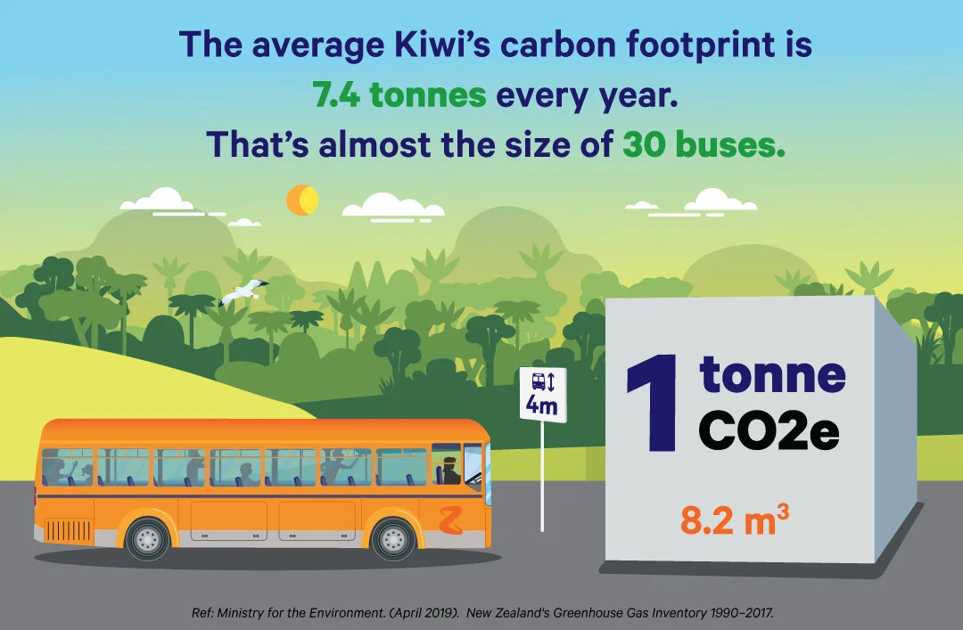 Carbon-Graphic-Scale.jpg