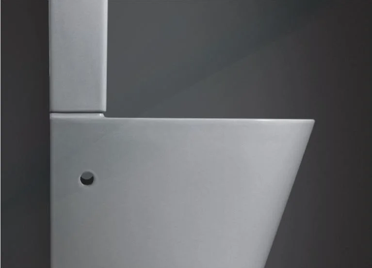 Bonita HT-390 Rimless Back-to-Wall Toilet Suite - image 3