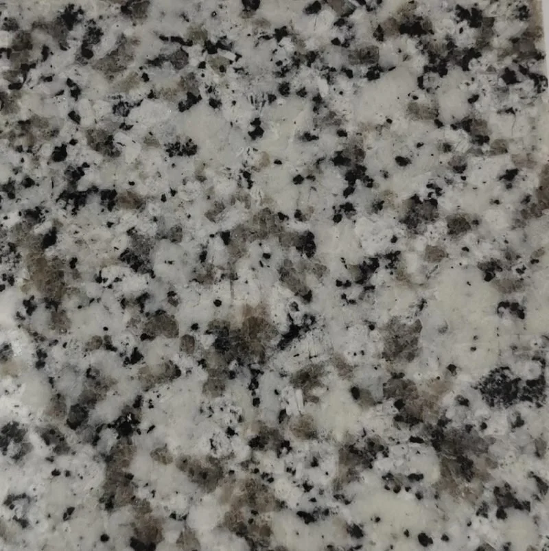 Camelia White Natural Granite Vanity Top