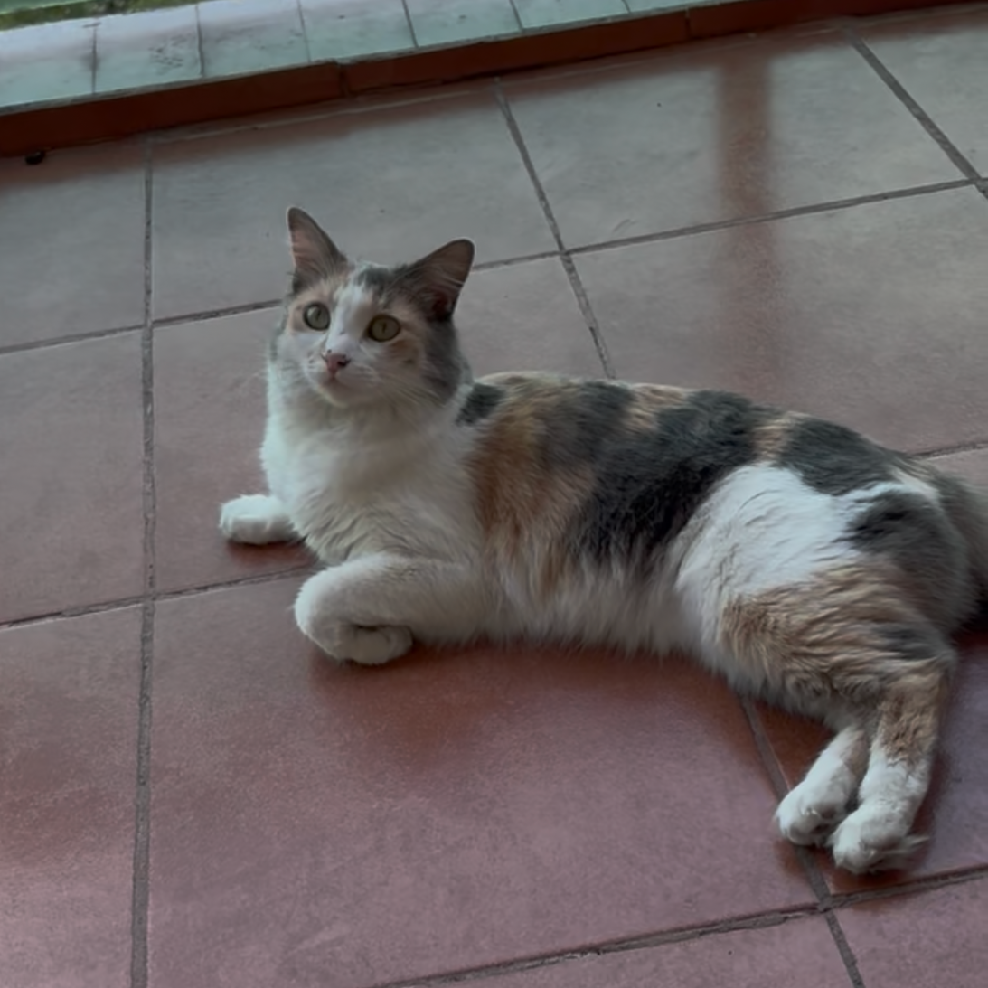 Mika