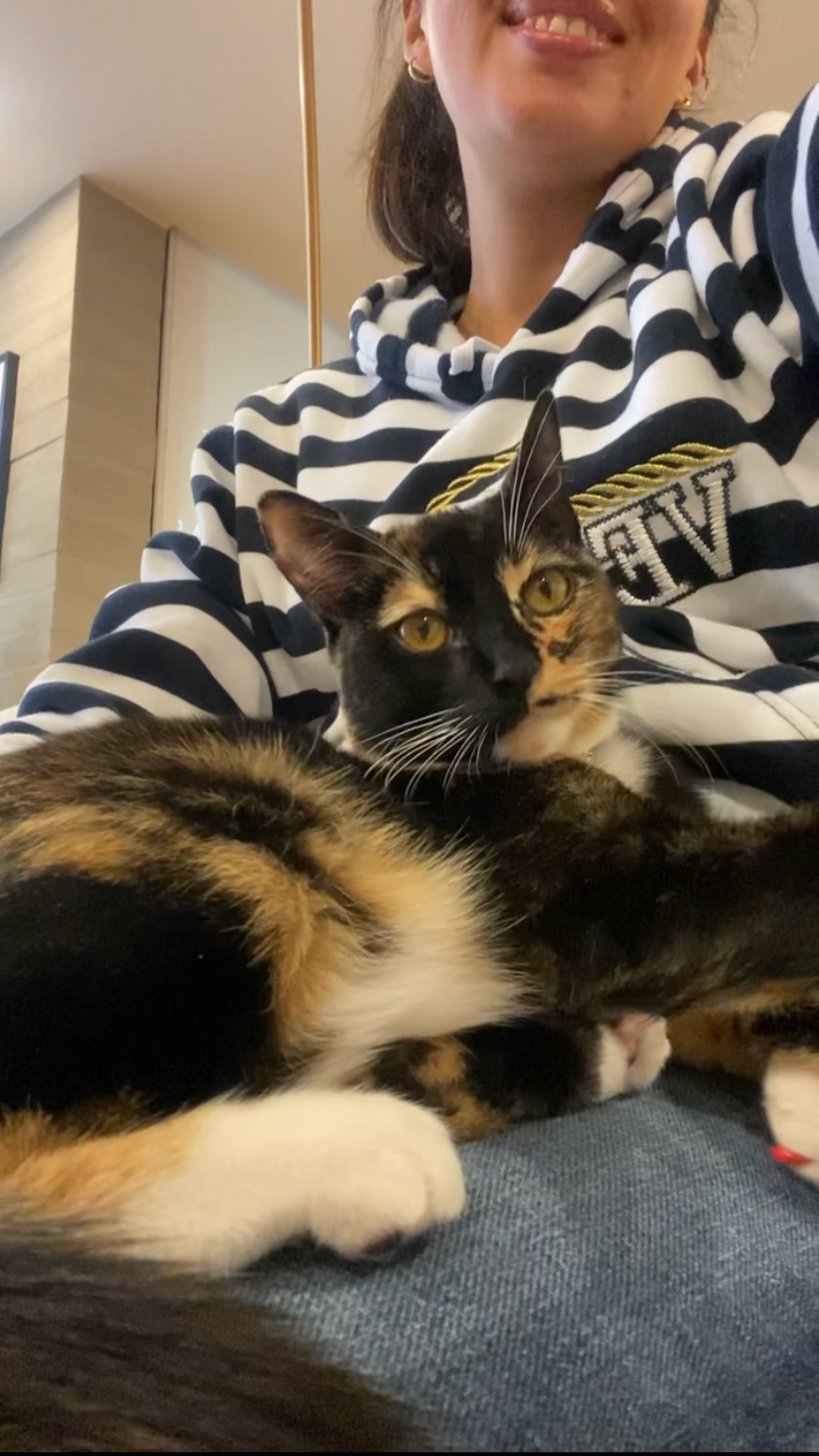 Mujer con camiseta de rayas y gato carey acostado en sus piernas, tomando una selfie en un ambiente interior.
