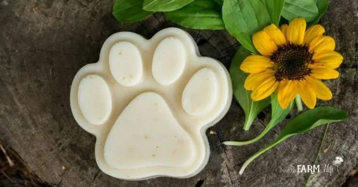 Dog Soap - Large