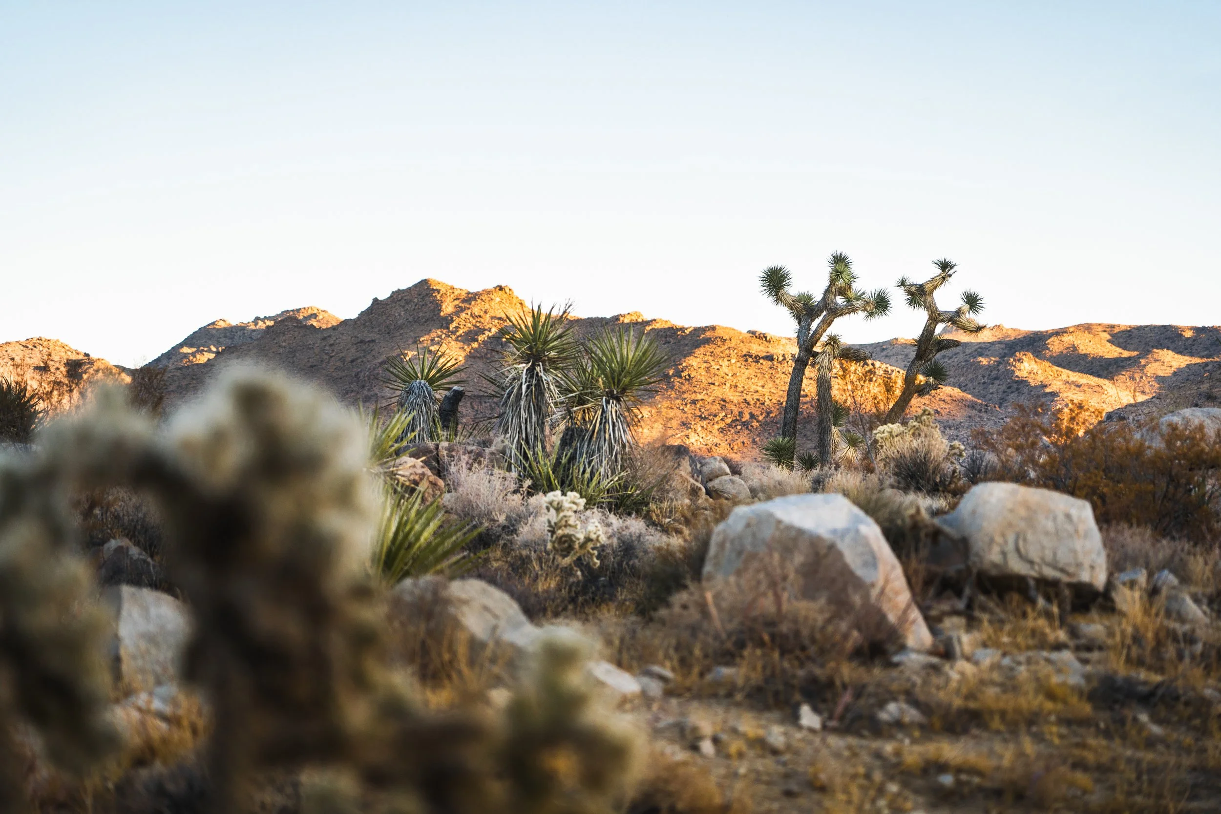 Explore the property at dawn or dusk for some life-changing views.