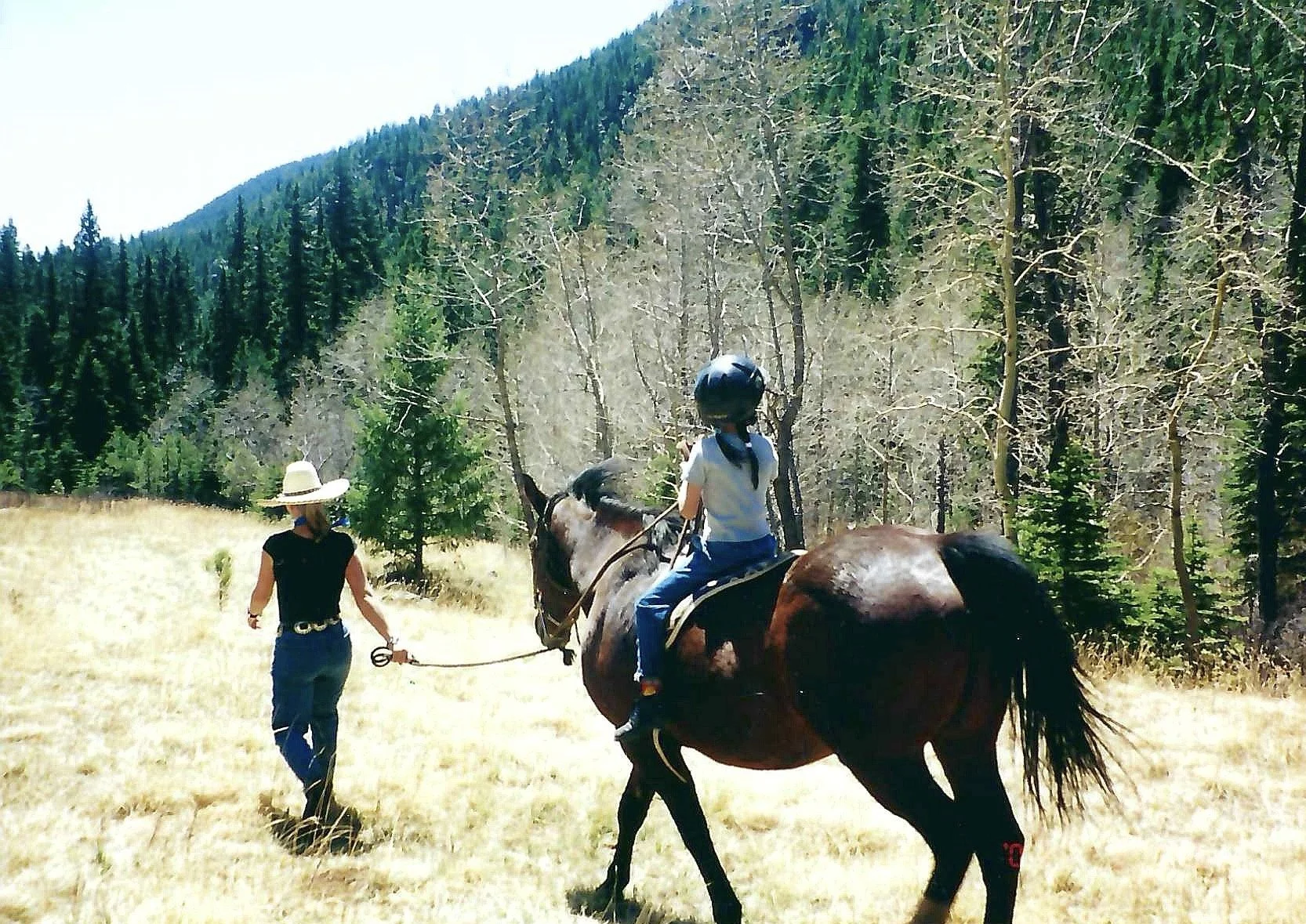 A person riding a horse in a forested area, with another person walking and holding the horse's reins, surrounded by trees and a mountain in the background.