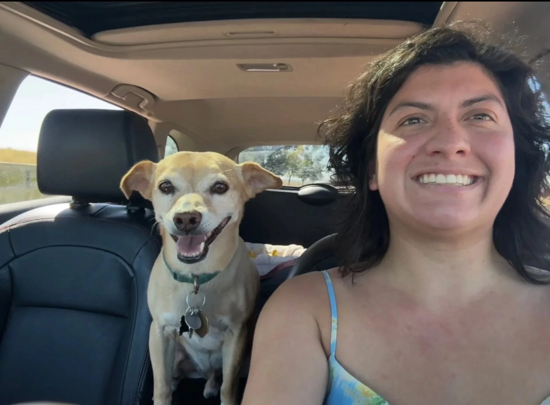Smiling woman with curly hair and a dog with a green collar sitting in the back of a car with a blurred outdoor scene through the window.