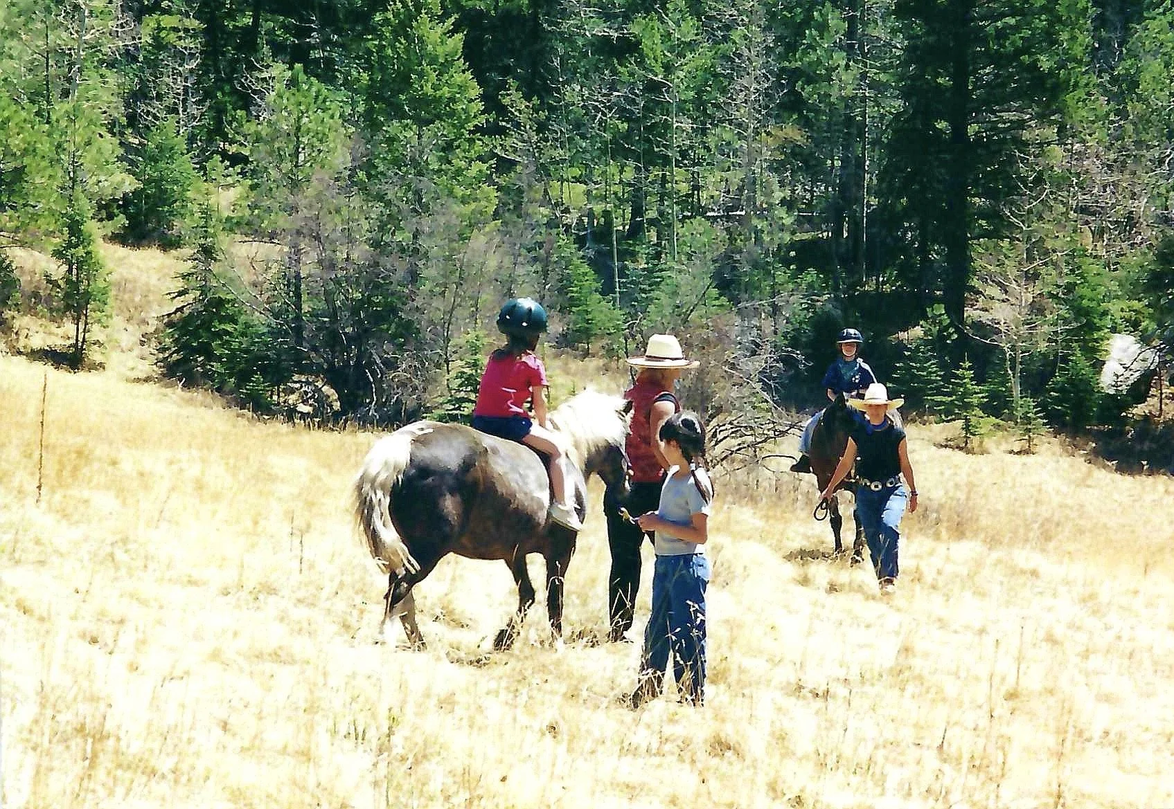 Children and adults riding horses through a grassy meadow surrounded by pine trees on a sunny day.