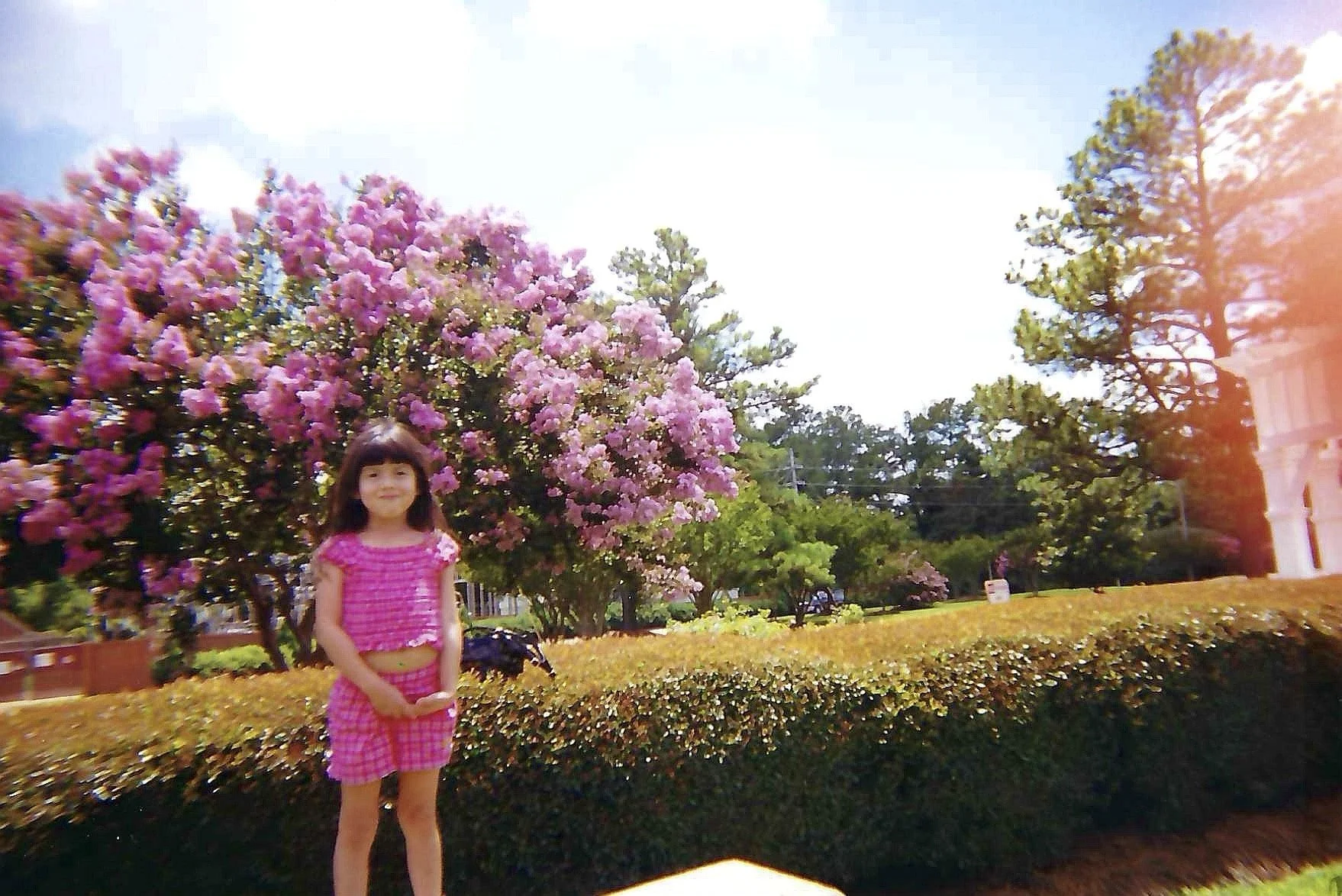 A young girl in pink checkered clothing stands in front of a large pink flowering tree in a park with green trees and a white building in the background.