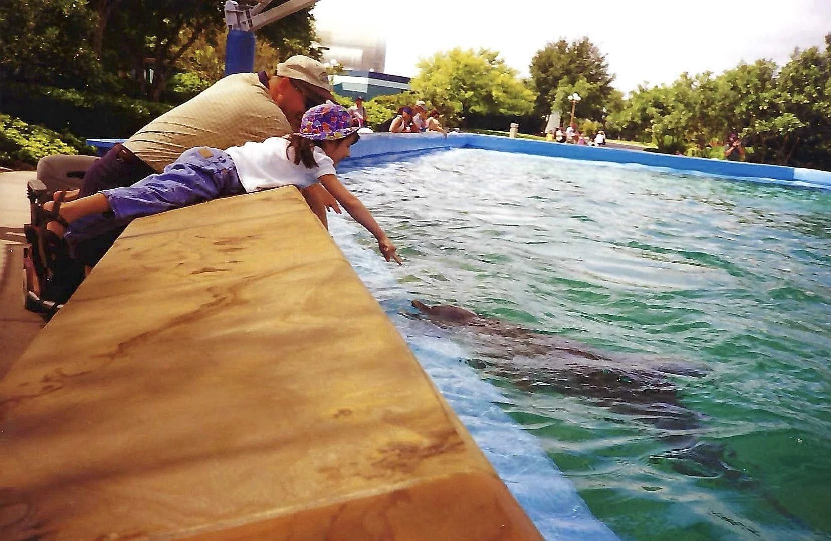 Children and adults leaning over the edge of a pool, reaching into the water to touch fish, with trees and people in the background.
