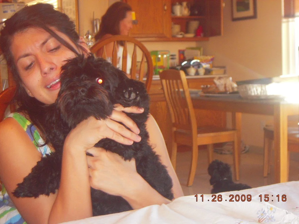 A woman with dark hair hugging a black puppy inside a home kitchen or dining area.