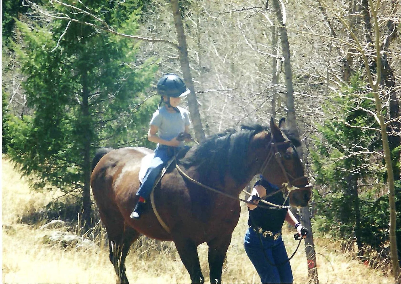 A young girl riding a brown horse through a forest with tall trees and dry grass.
